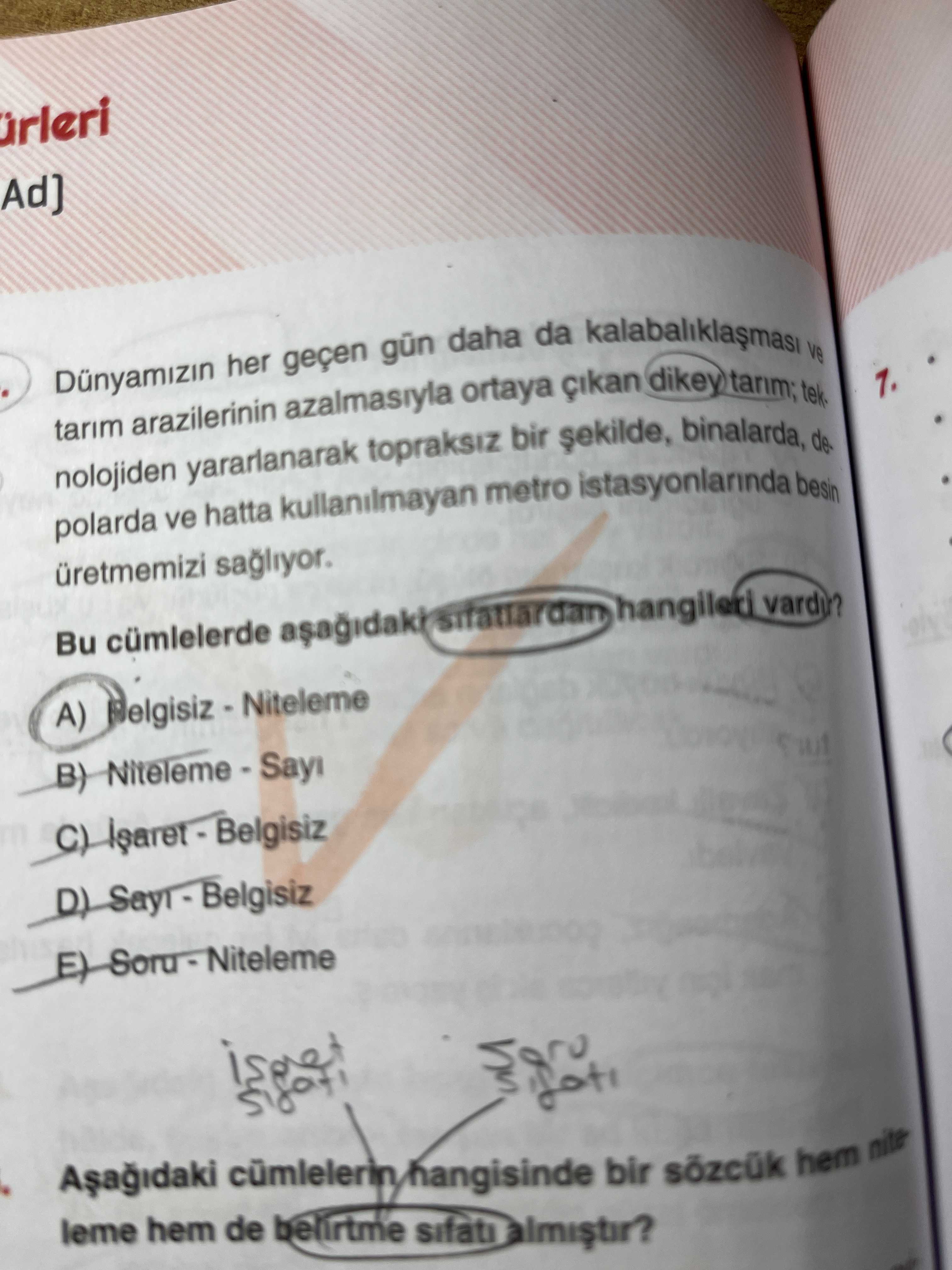 Türkçe (12. Sınıf)