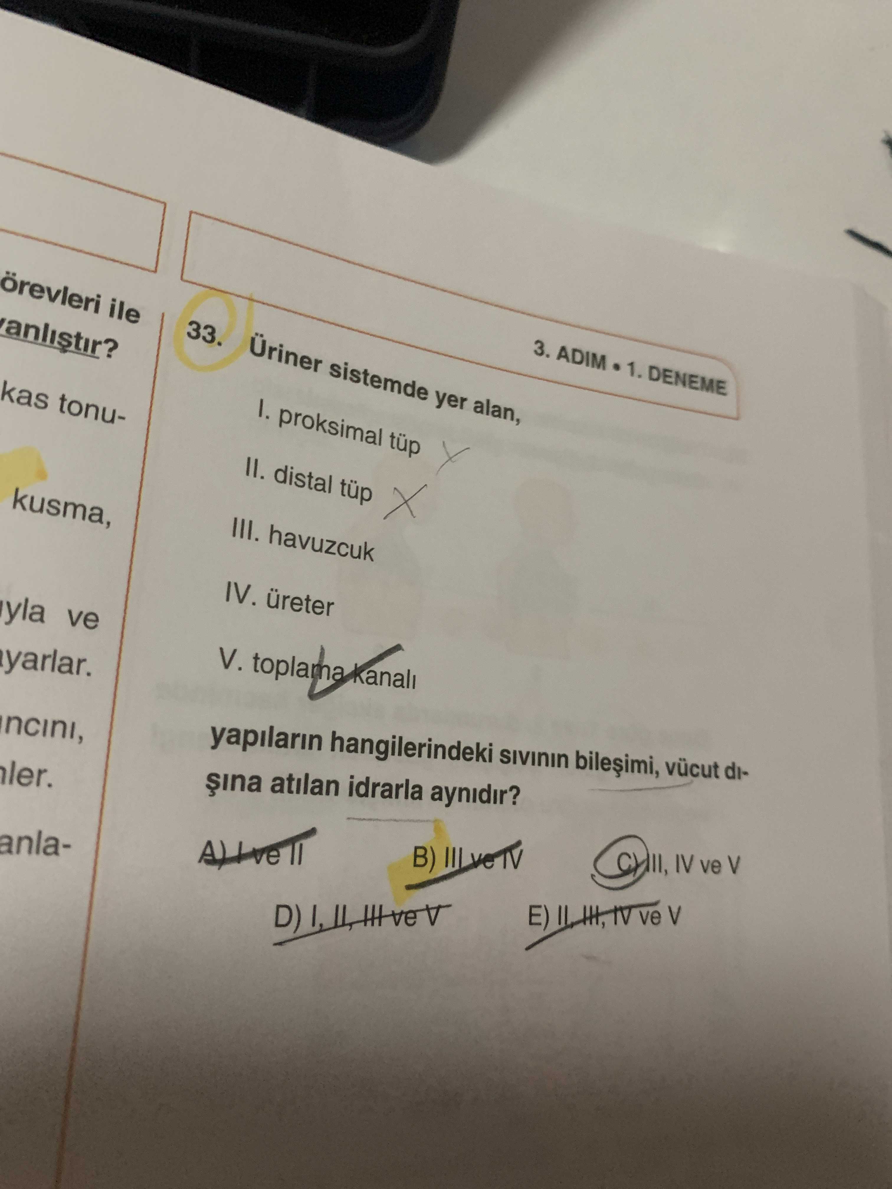 Üriner sistemde yer alan, I. proksimal tüp II. distal tüp III. havuzcuk IV. üreter V. toplama kanalı