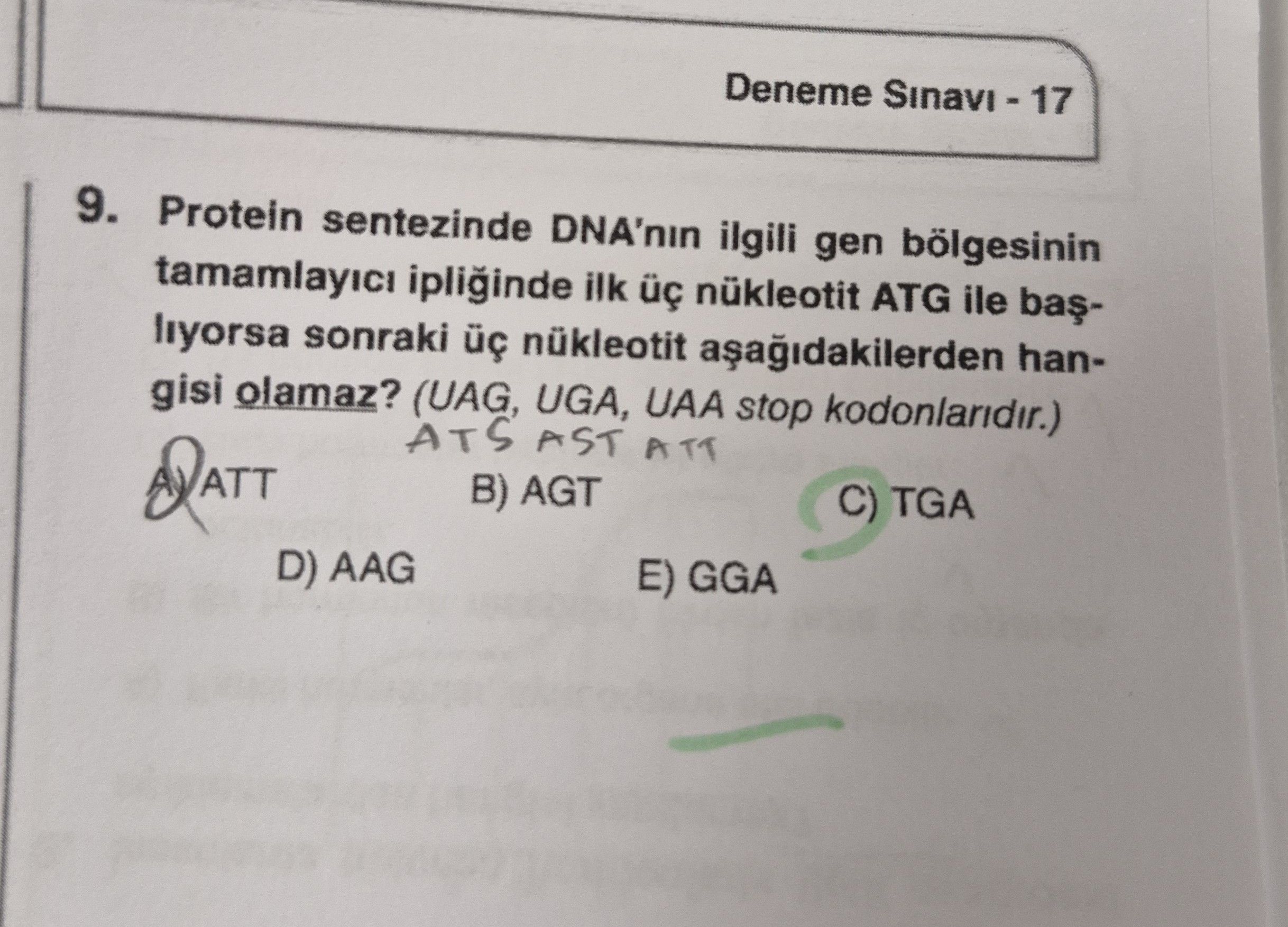 Protein sentezinde DNA'nın ilgili gen bölgesinin tamamlayıcı ipliğinde ilk üç nükleotit ATG ile