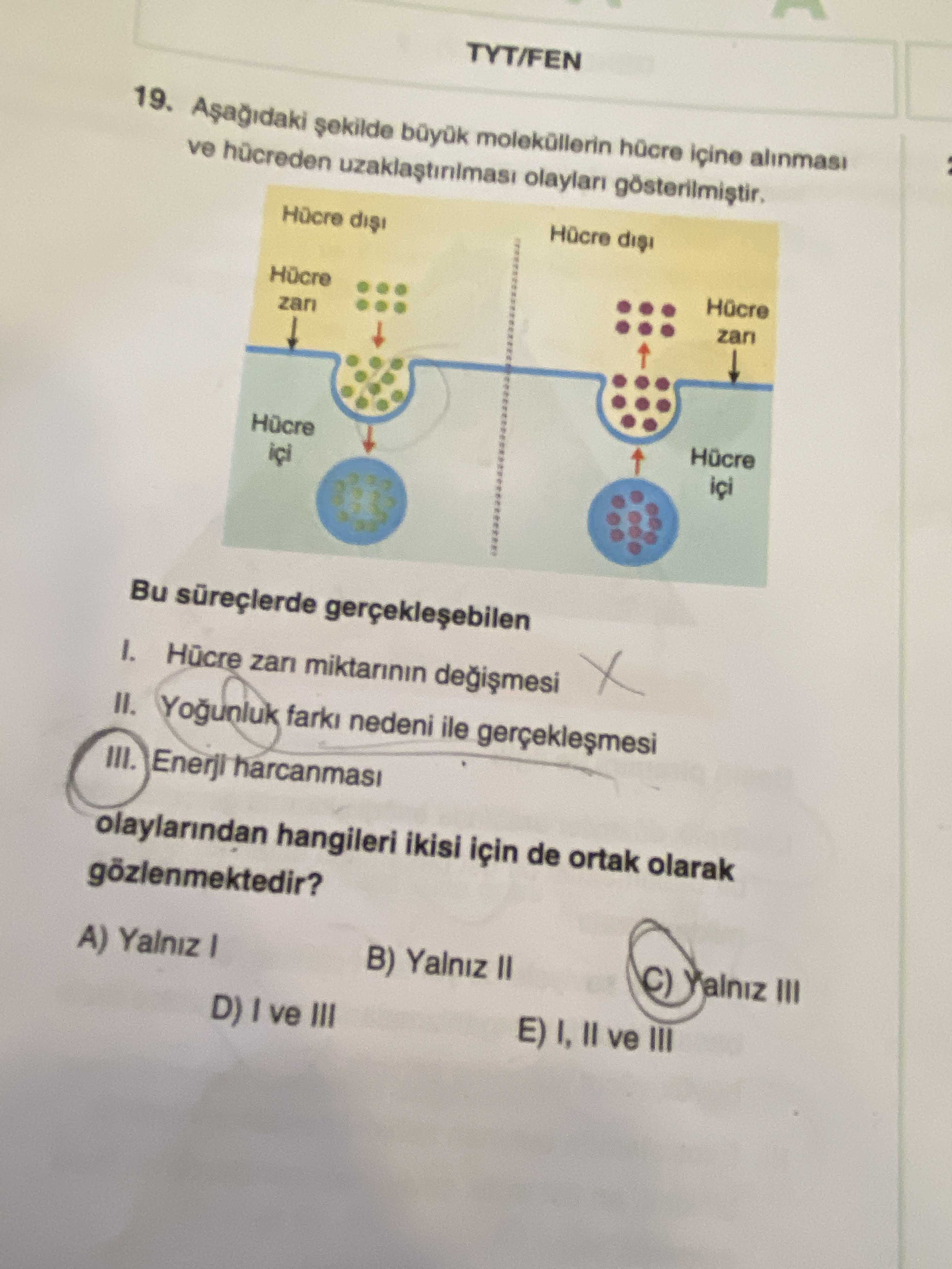 Aşağıdaki şekilde büyük moleküllerin hücre içine alınması ve hücreden uzaklaştırılması olayları gösterilmiştir. Bu süreçlerde