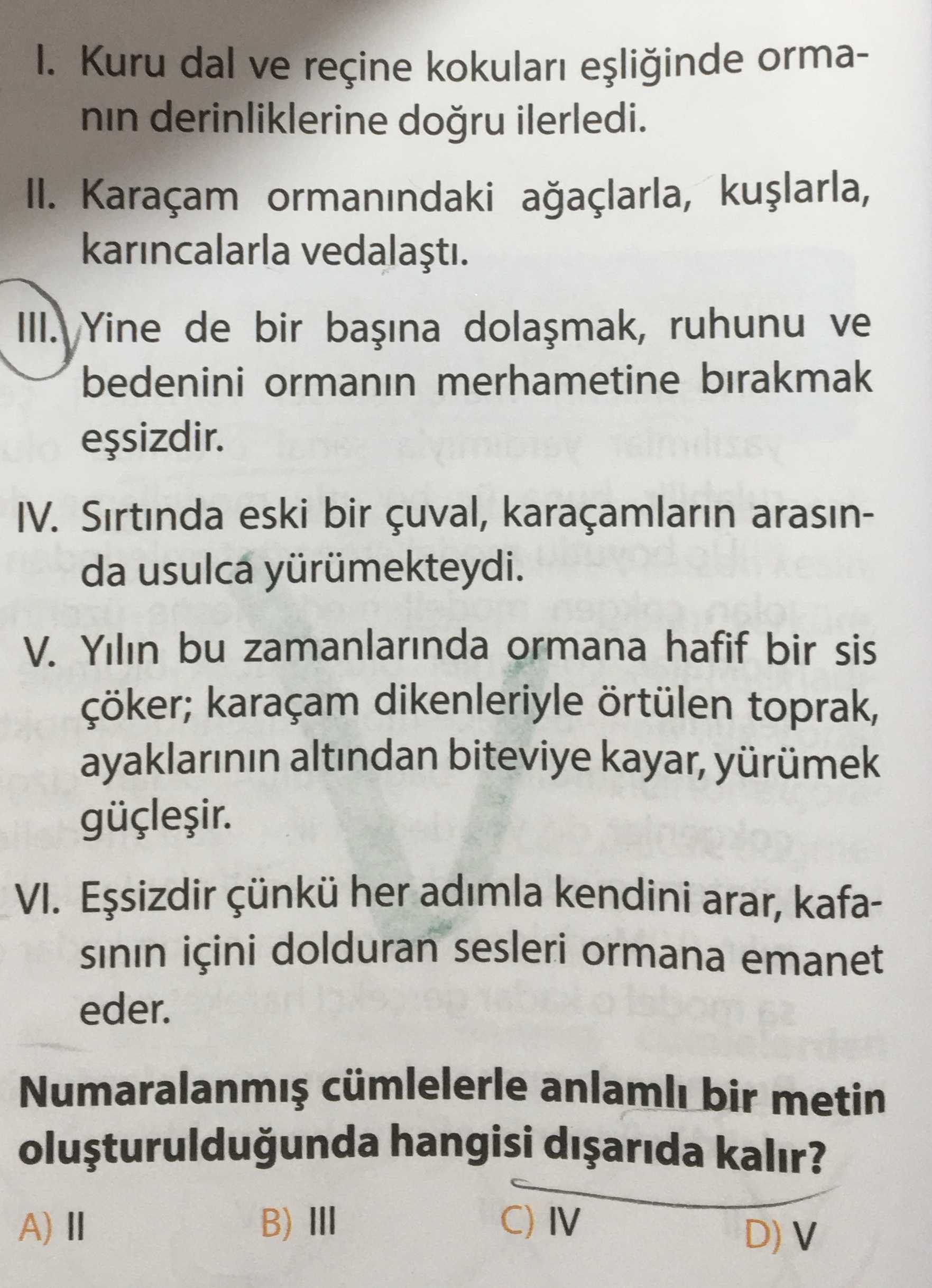 I. Kuru dal ve reçine kokuları eşliğinde ormanın derinliklerine doğru ilerledi. II. Karaçam