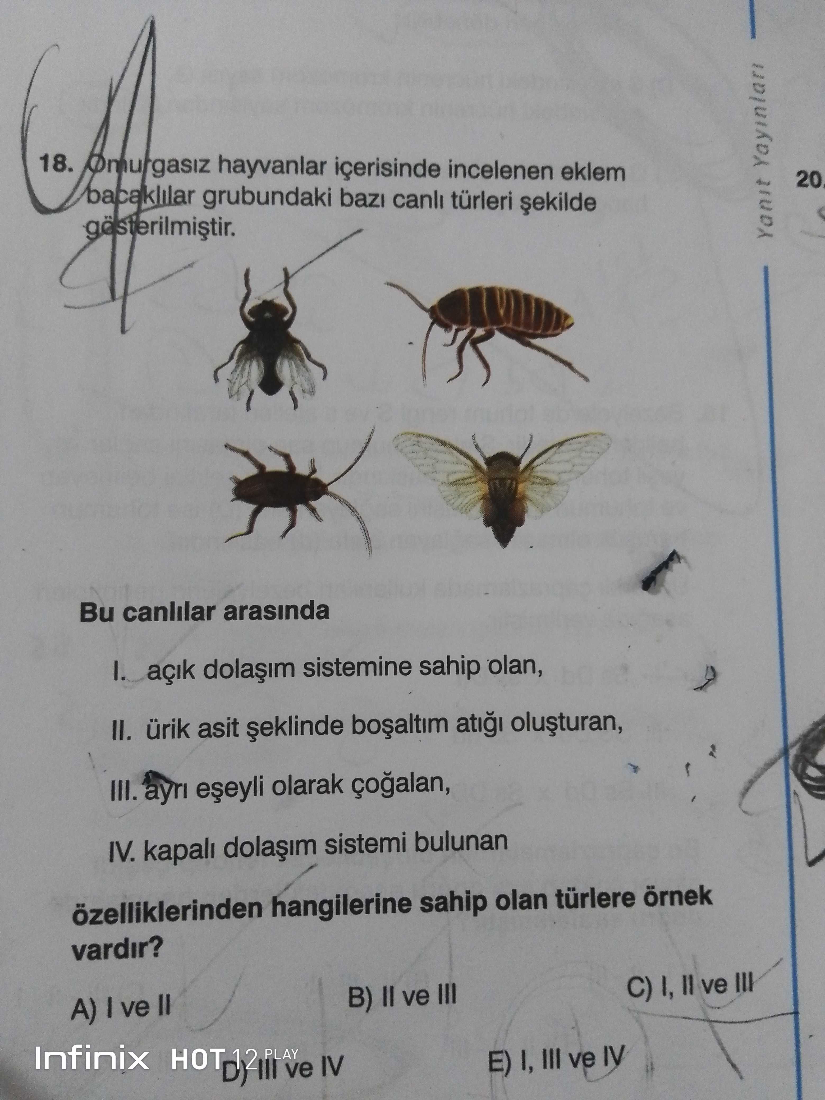 Omurgasız hayvanlar içerisinde incelenen eklem bacaklılar grubundaki bazı canlı türleri şekilde