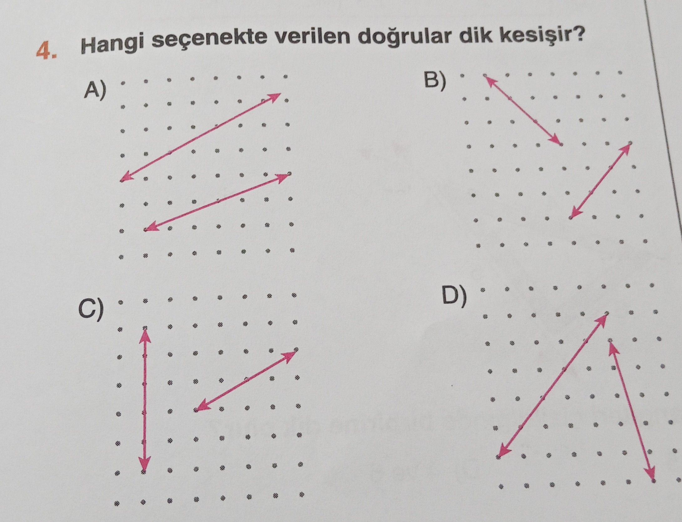 Hangi seçenekte verilen doğrular dik kesişir?