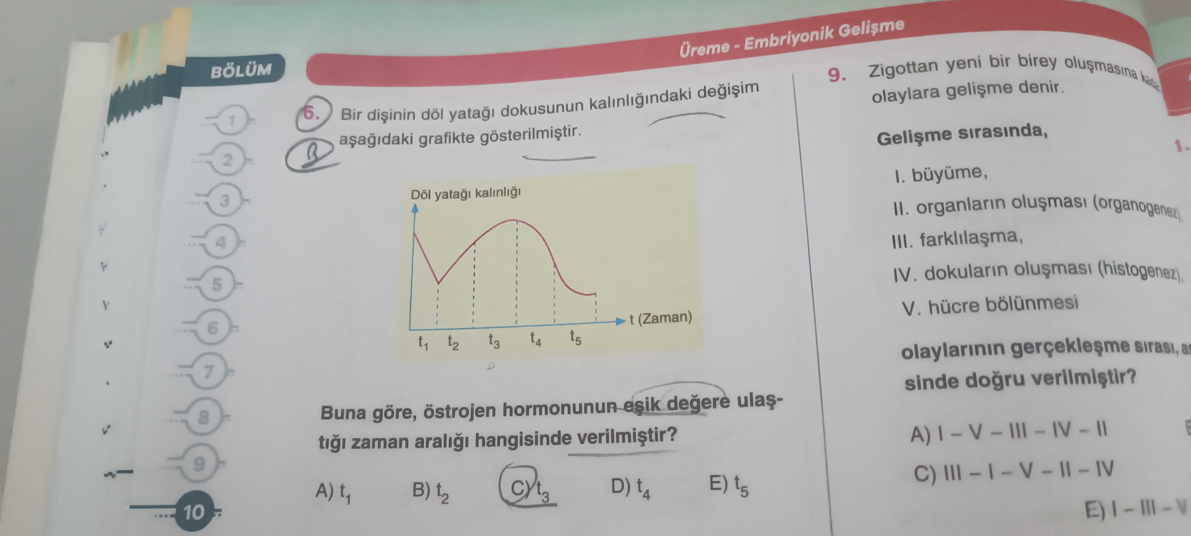 Bir dişinin döl yatağı dokusunun kalınlığındaki değişim aşağıdaki grafikte gösterilmiştir. Buna