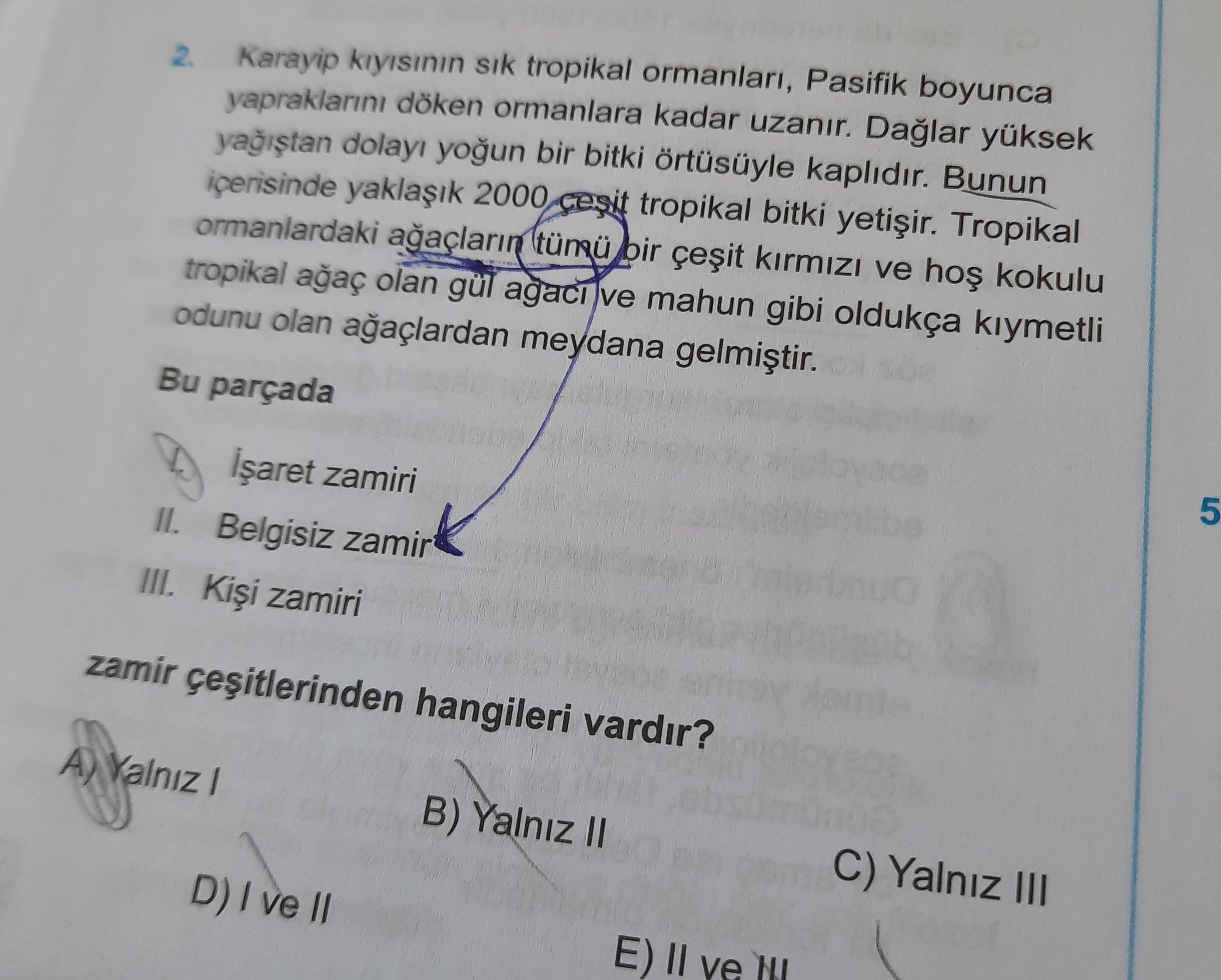 Karayip kıyısının sık tropikal ormanları, Pasifik boyunca yapraklarını döken ormanlara kadar uzanır