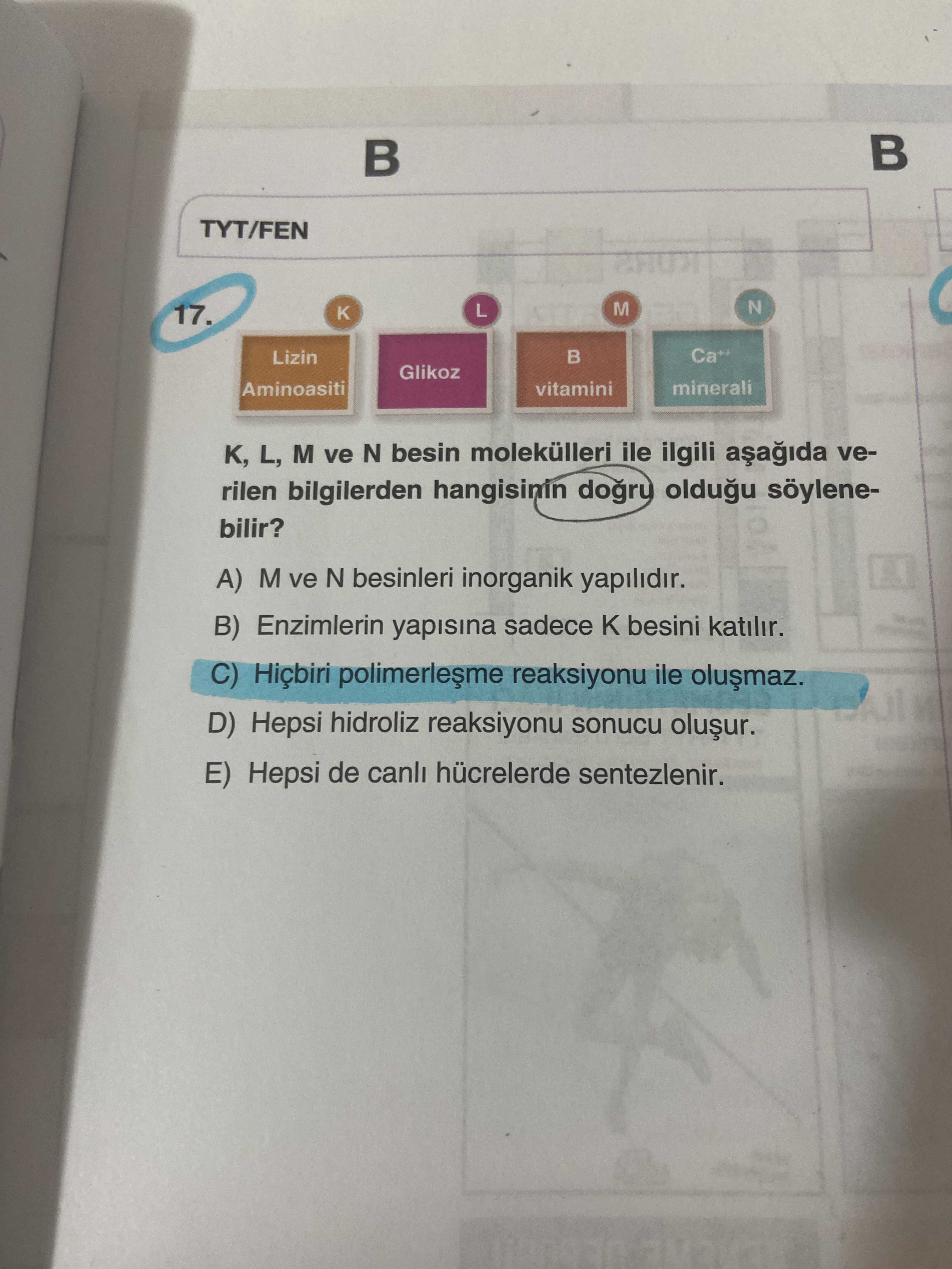 K, L, M ve N besin molekülleri ile ilgili aşağıda verilen bilgilerden hangisinin doğru olduğu