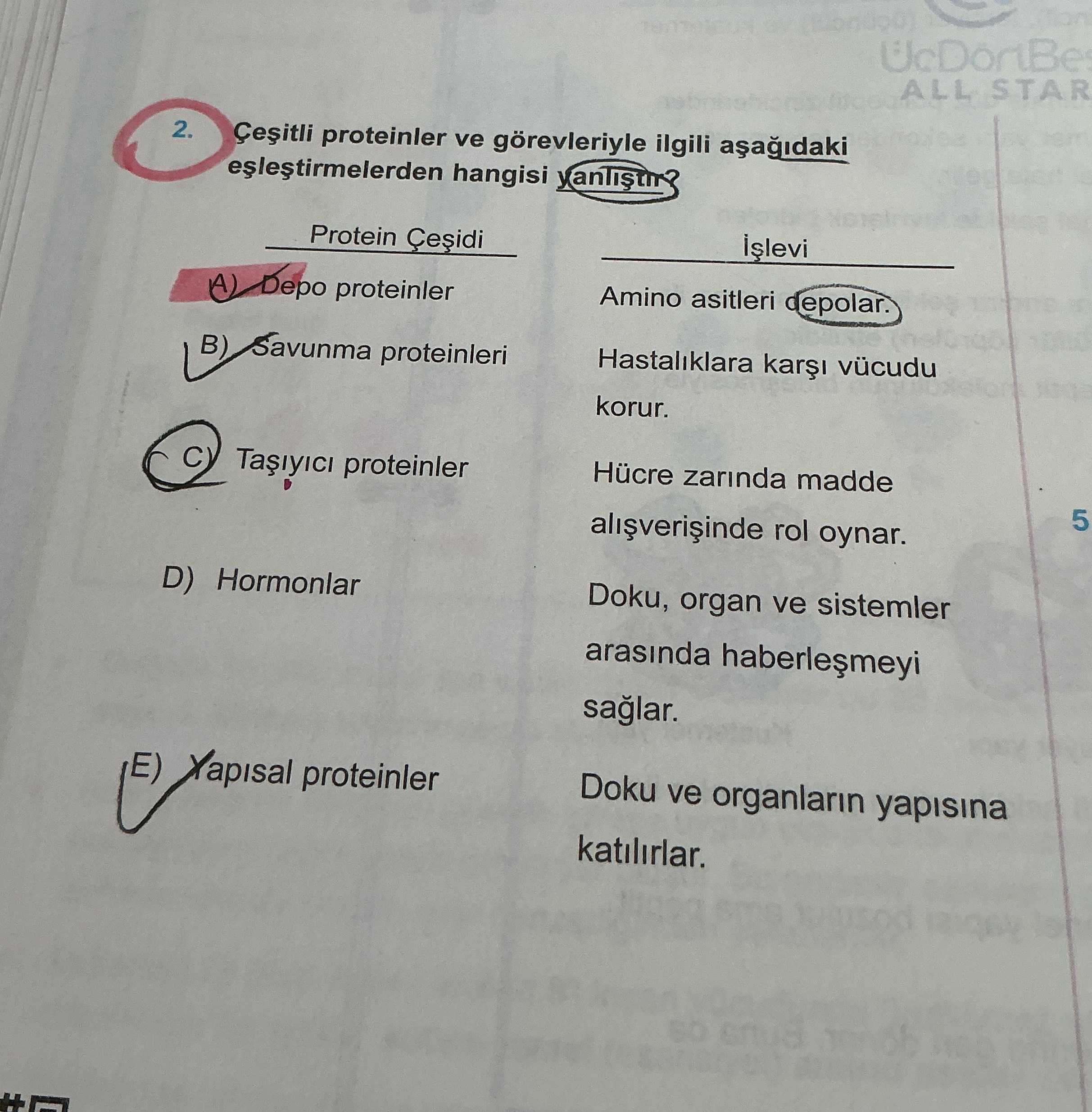 Çeşitli proteinler ve görevleriyle ilgili aşağıdaki eşleştirmelerden hangisi yanlıştır? Protein