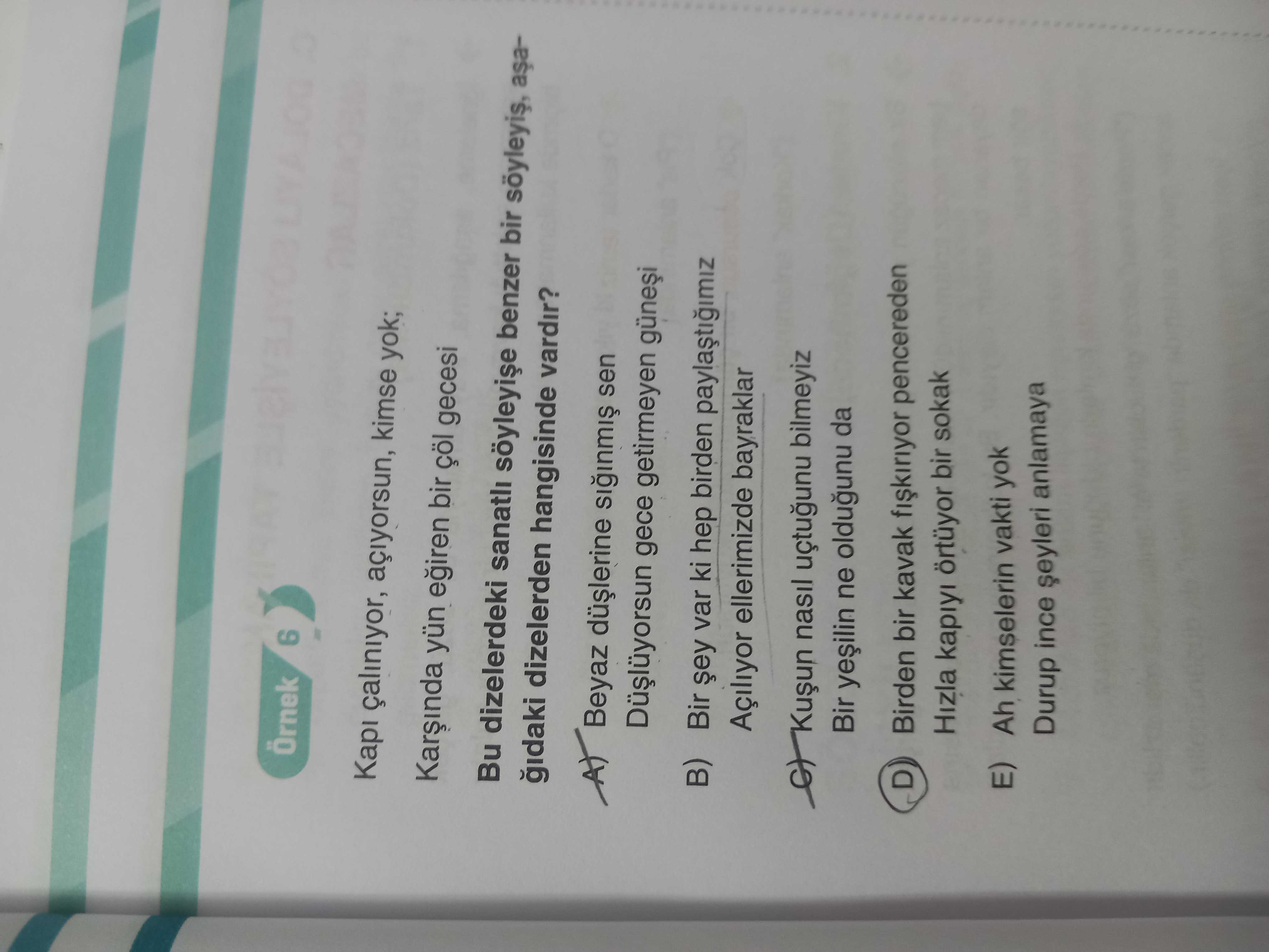 Türkçe (12. Sınıf)