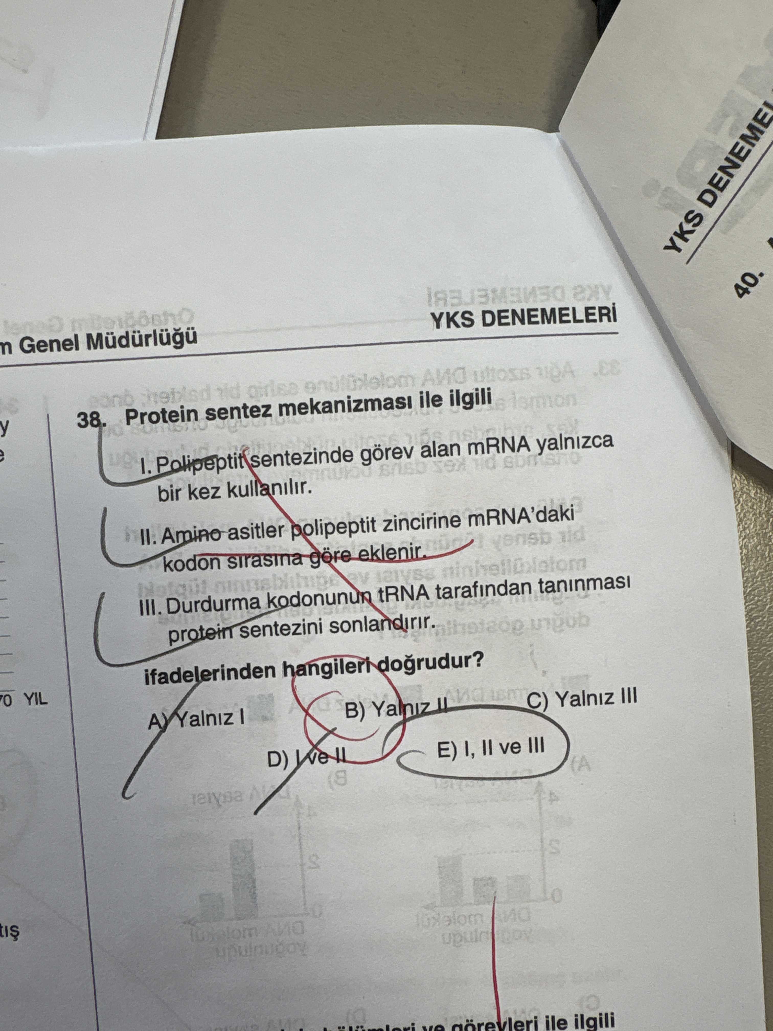 Protein sentez mekanizması ile ilgili I. Polipeptit sentezinde görev alan mRNA yalnızca bir kez