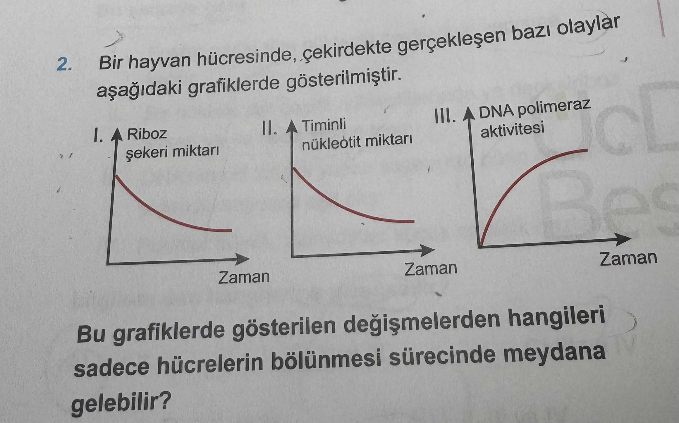 Biyoloji (12. Sınıf)