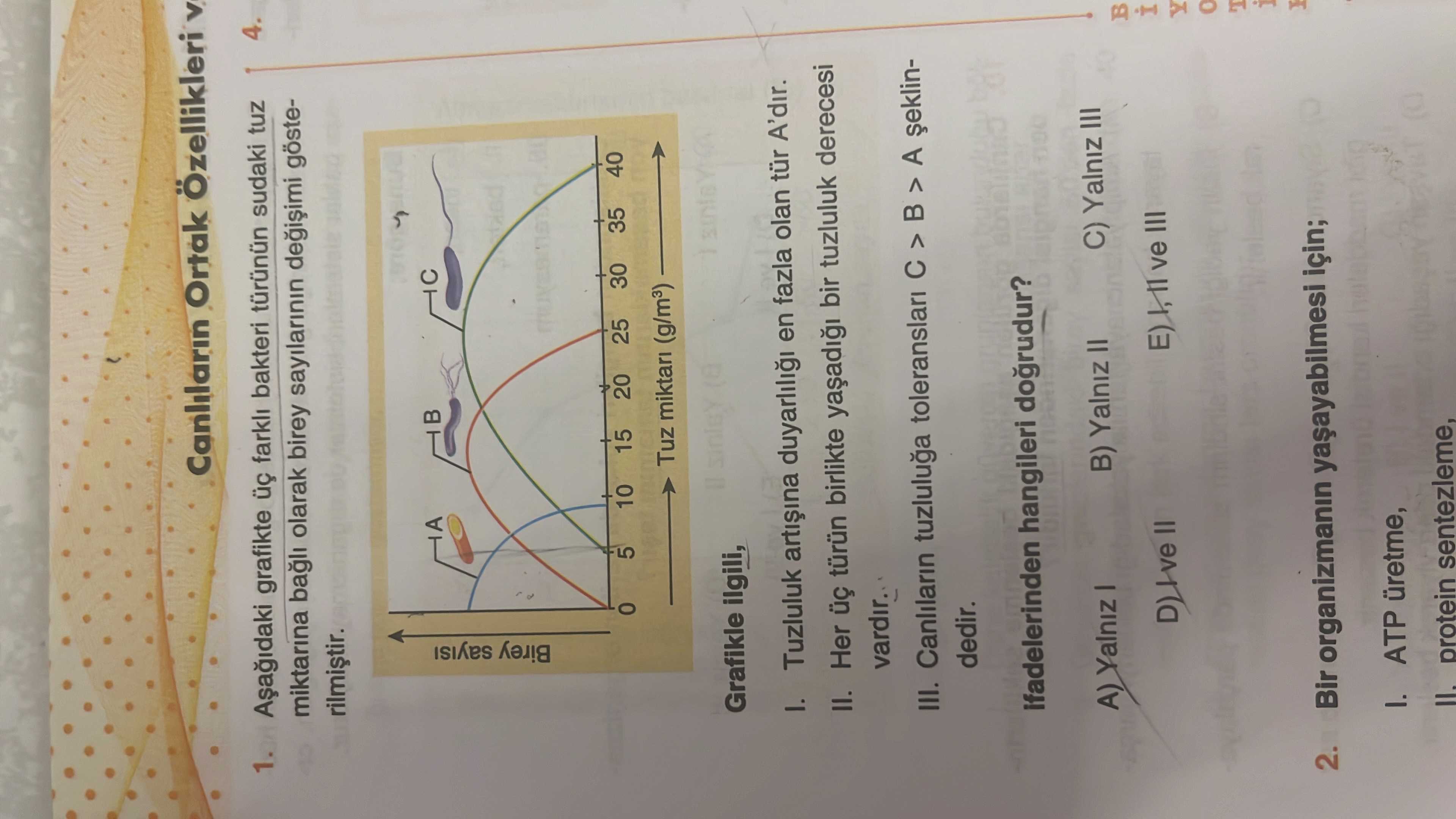 Biyoloji (11. Sınıf)