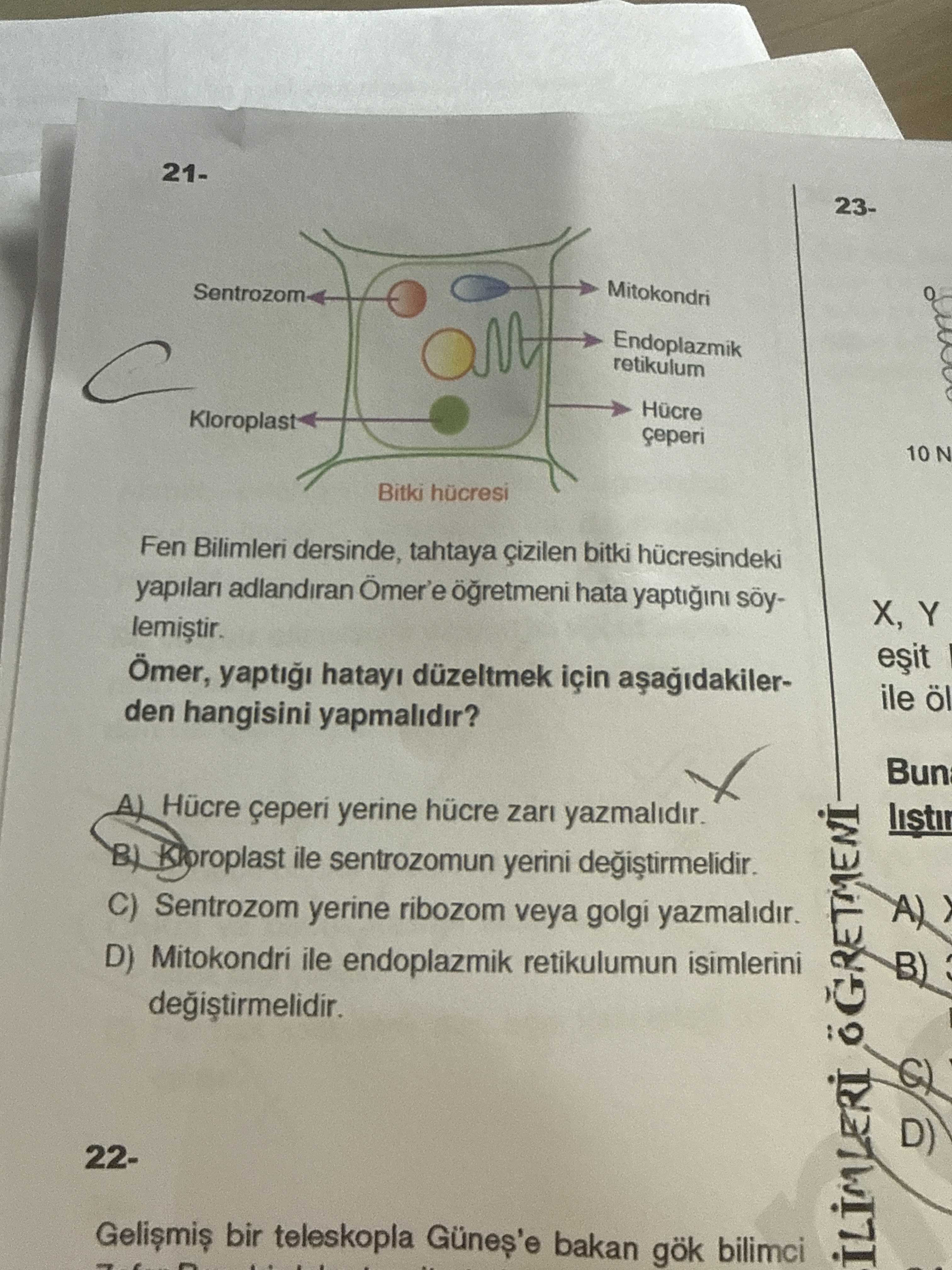 21- Fen Bilimleri dersinde, tahtaya çizilen bitki hücresindeki yapıları adlandıran Ömer'e öğretmeni