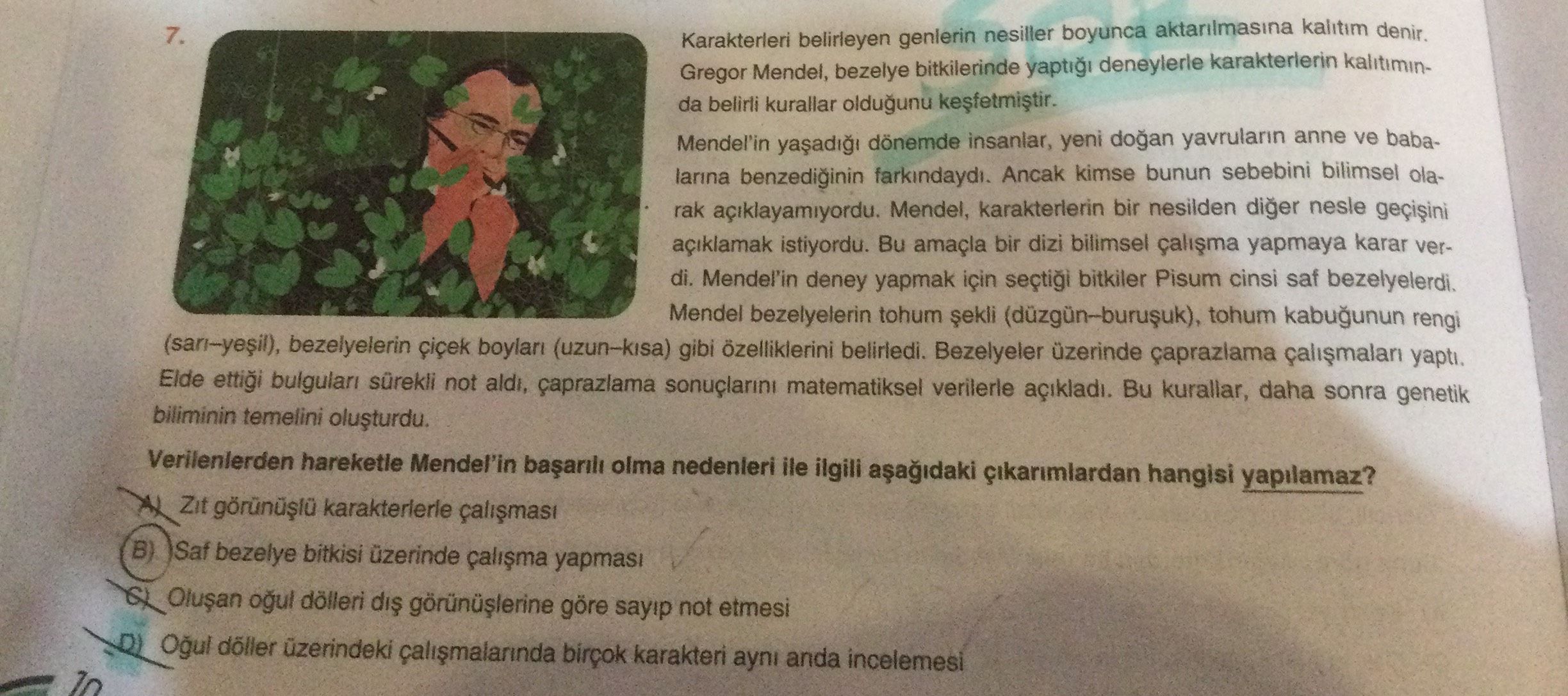 Karakterleri belirleyen genlerin nesiller boyunca aktarılmasına kalıtım denir. Gregor Mendel