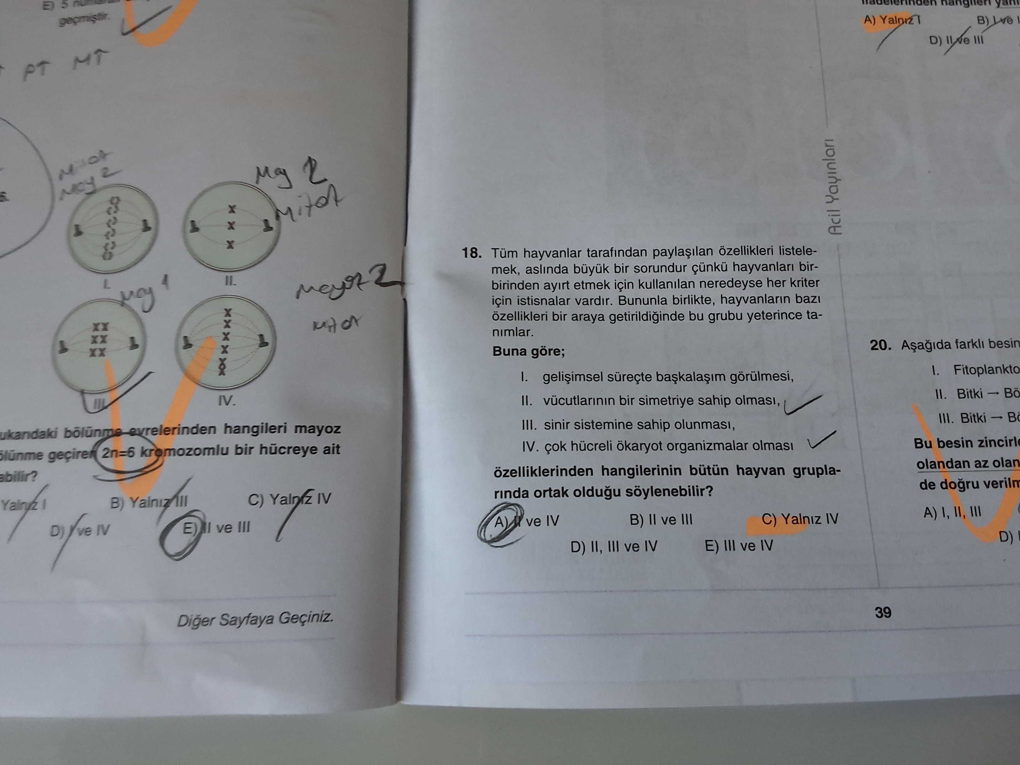 Tüm hayvanlar tarafından paylaşılan özellikleri listelemek, aslında büyük bir sorundur çünkü