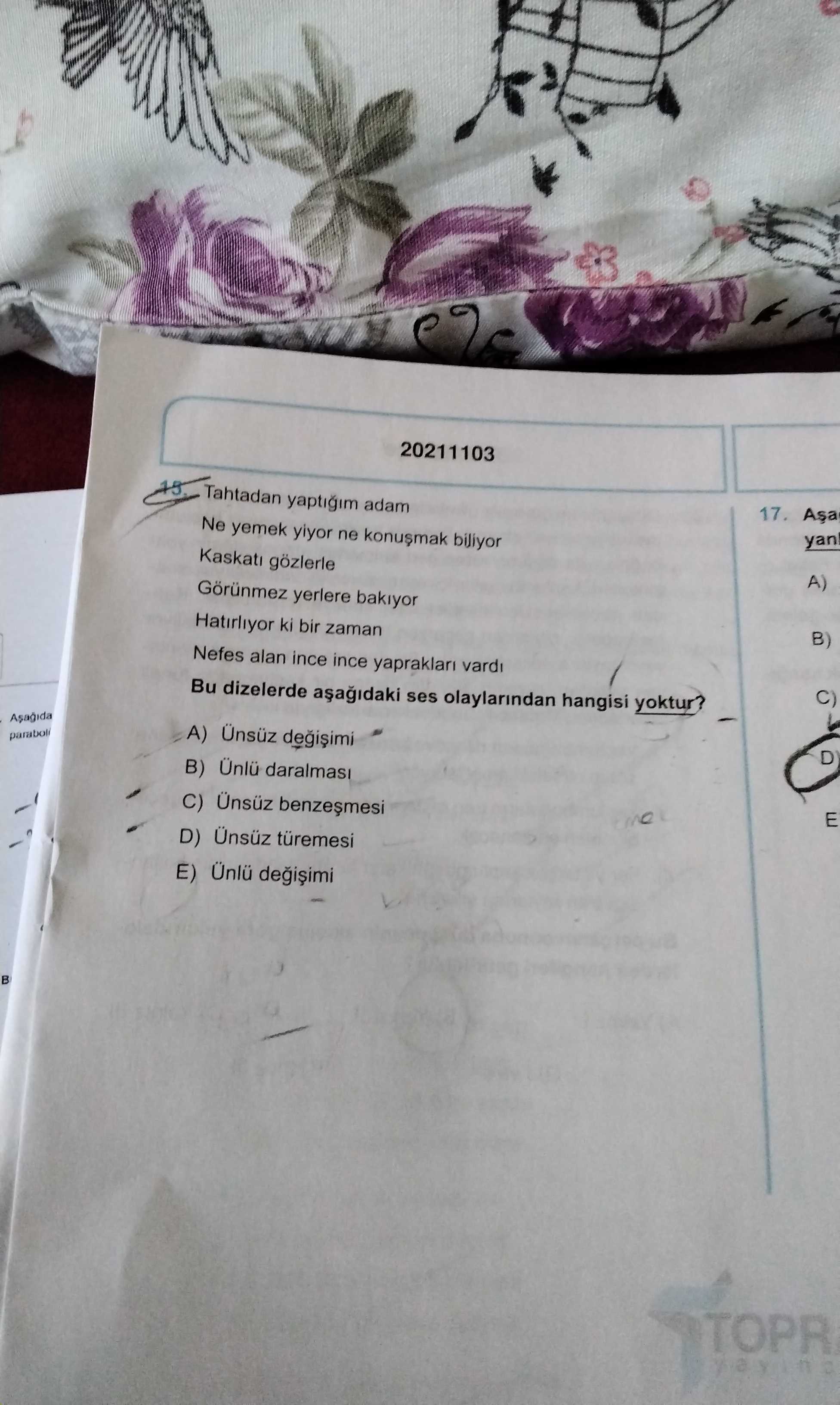 Türkçe (12. Sınıf)