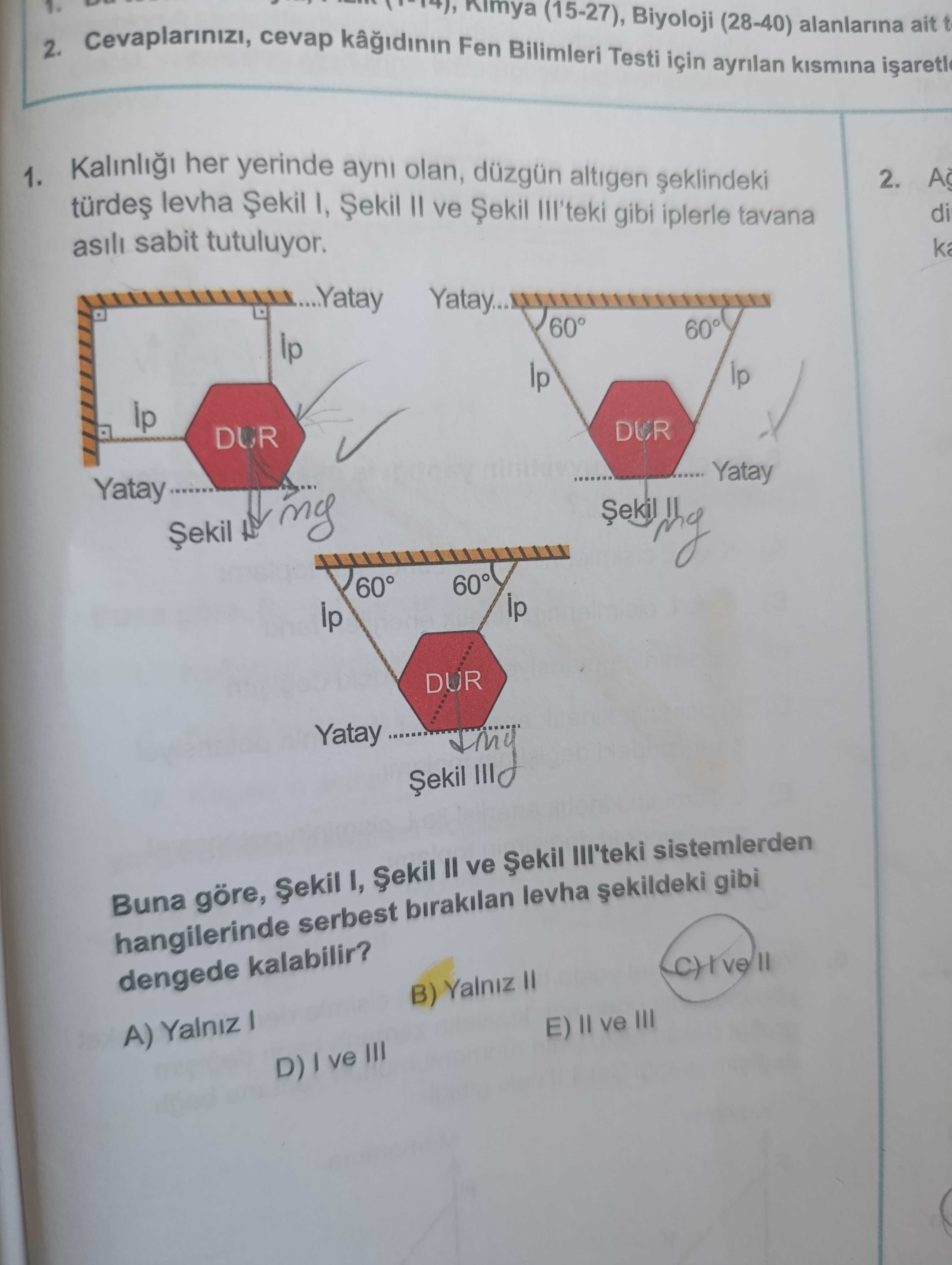 Kalınlığı her yerinde aynı olan, düzgün altıgen şeklindeki türdeş levha Şekil I, Şekil II ve Şekil