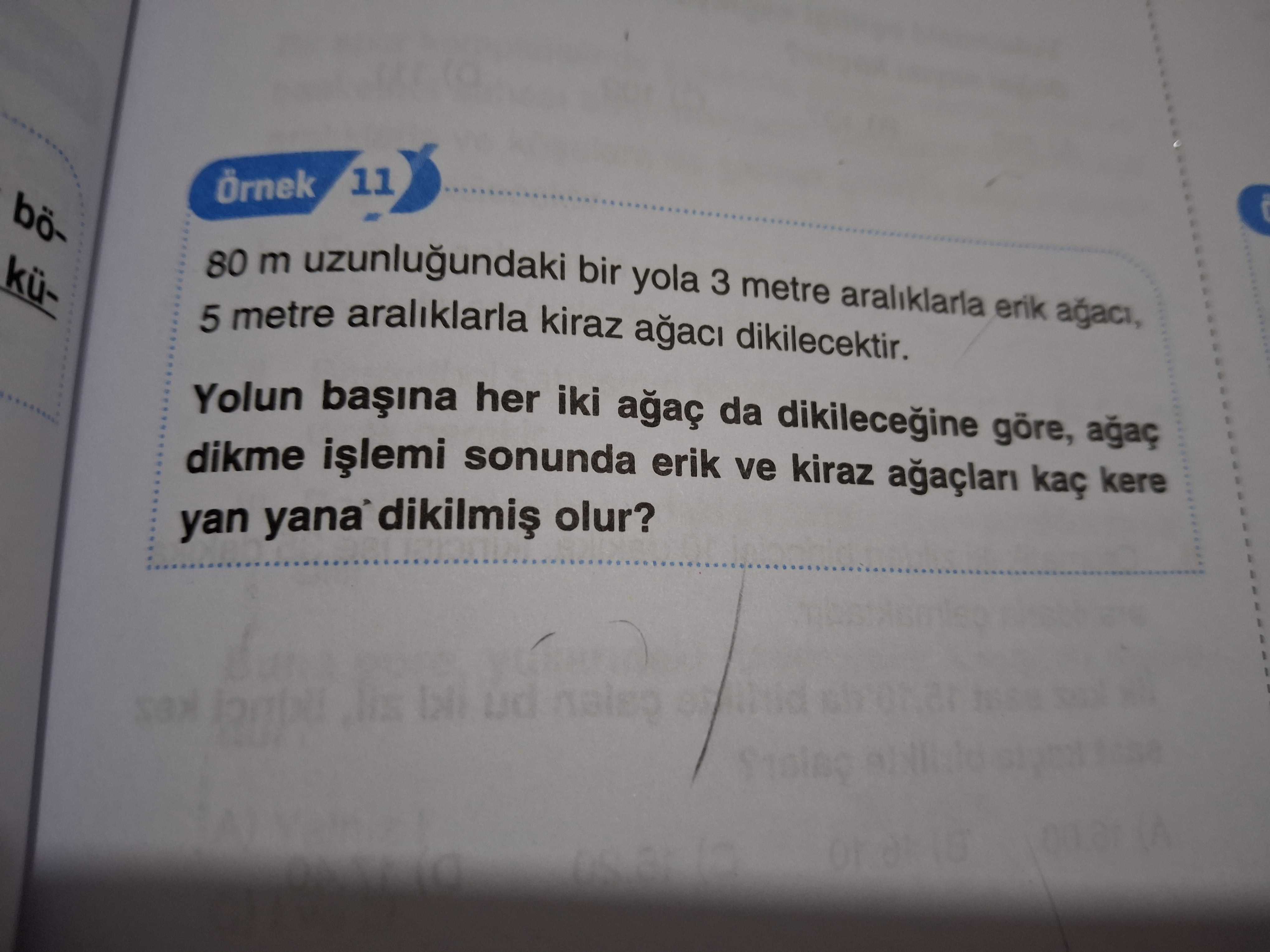 Matematik (8. Sınıf)