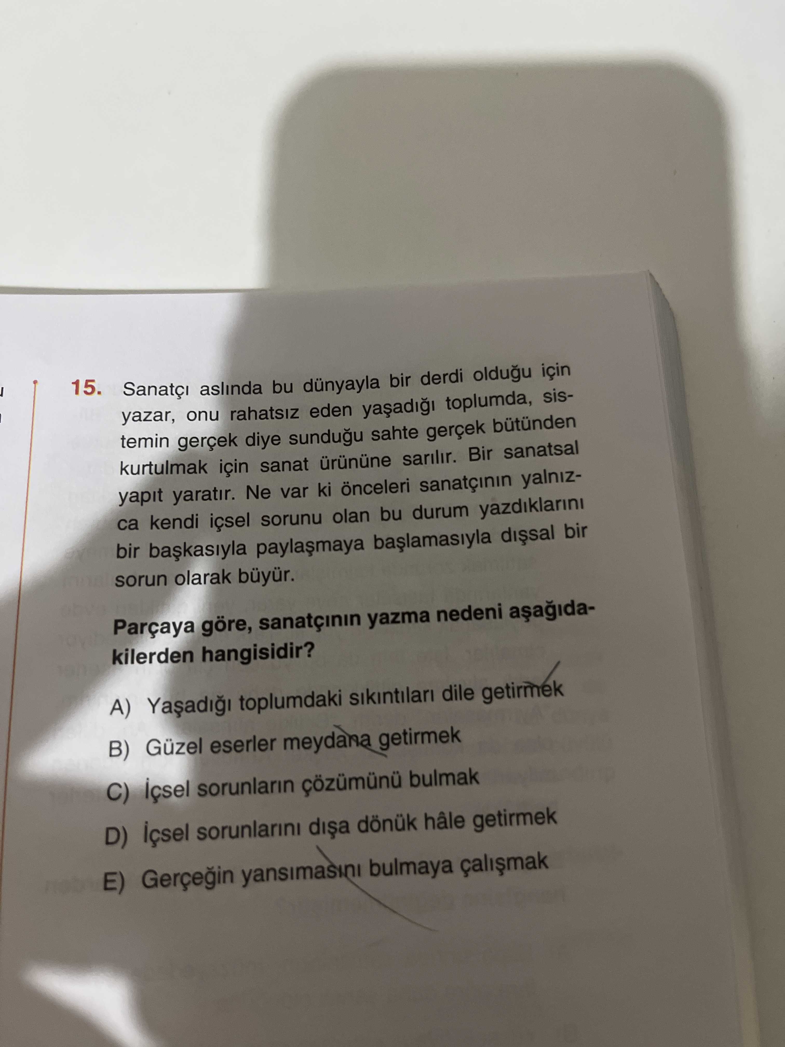 Türkçe (12. Sınıf)