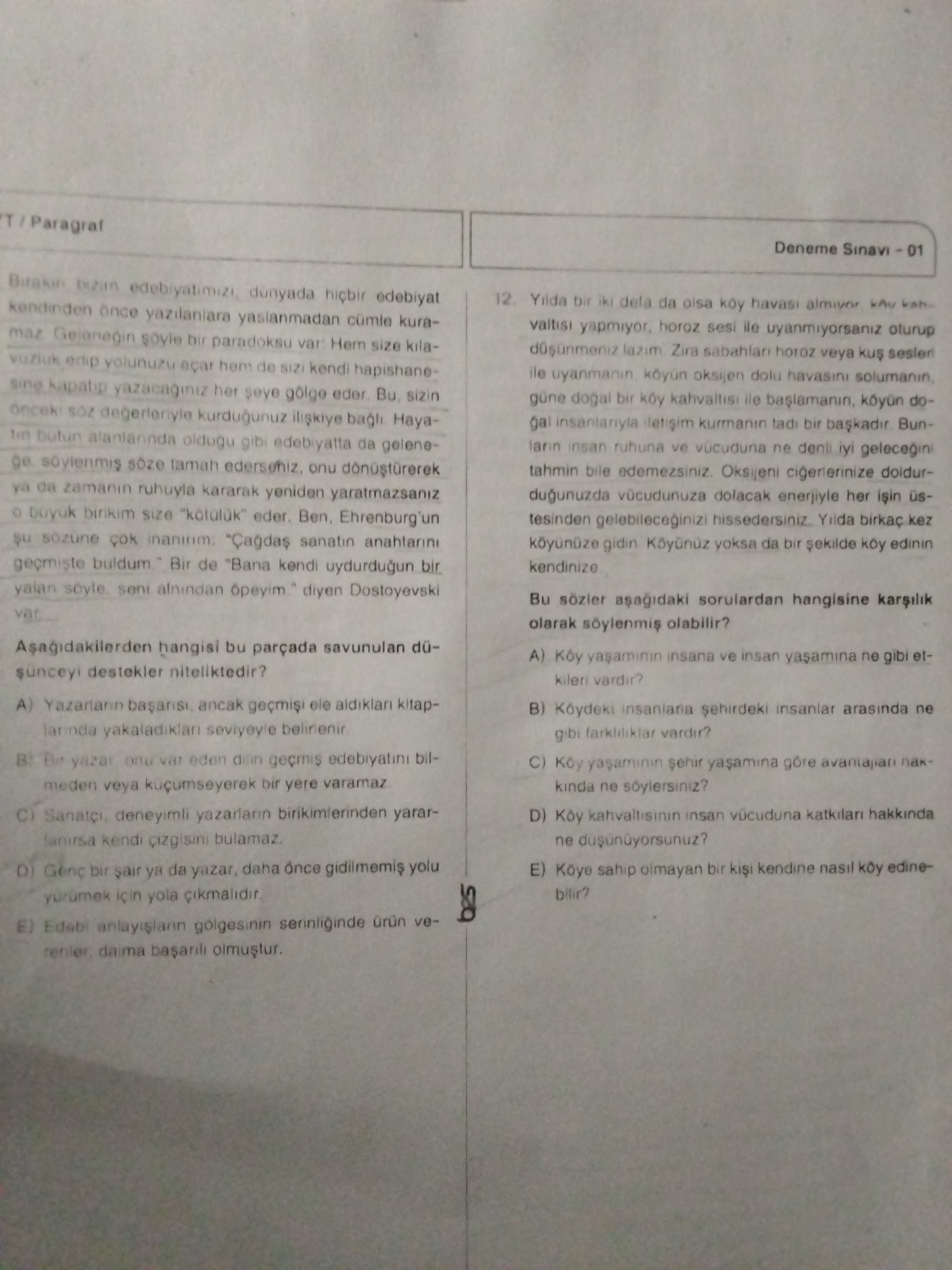 Türkçe (Mezun)