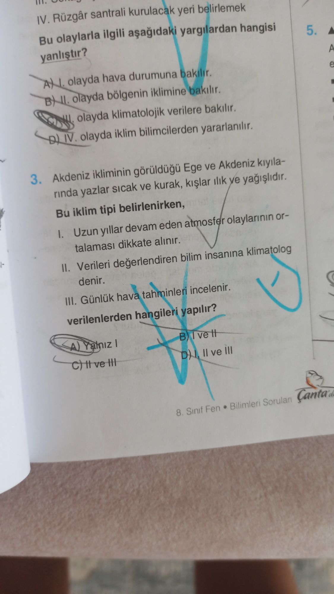 Akdeniz ikliminin görüldüğü Ege ve Akdeniz kıyılarında yazlar sıcak ve kurak, kışlar ılık ve