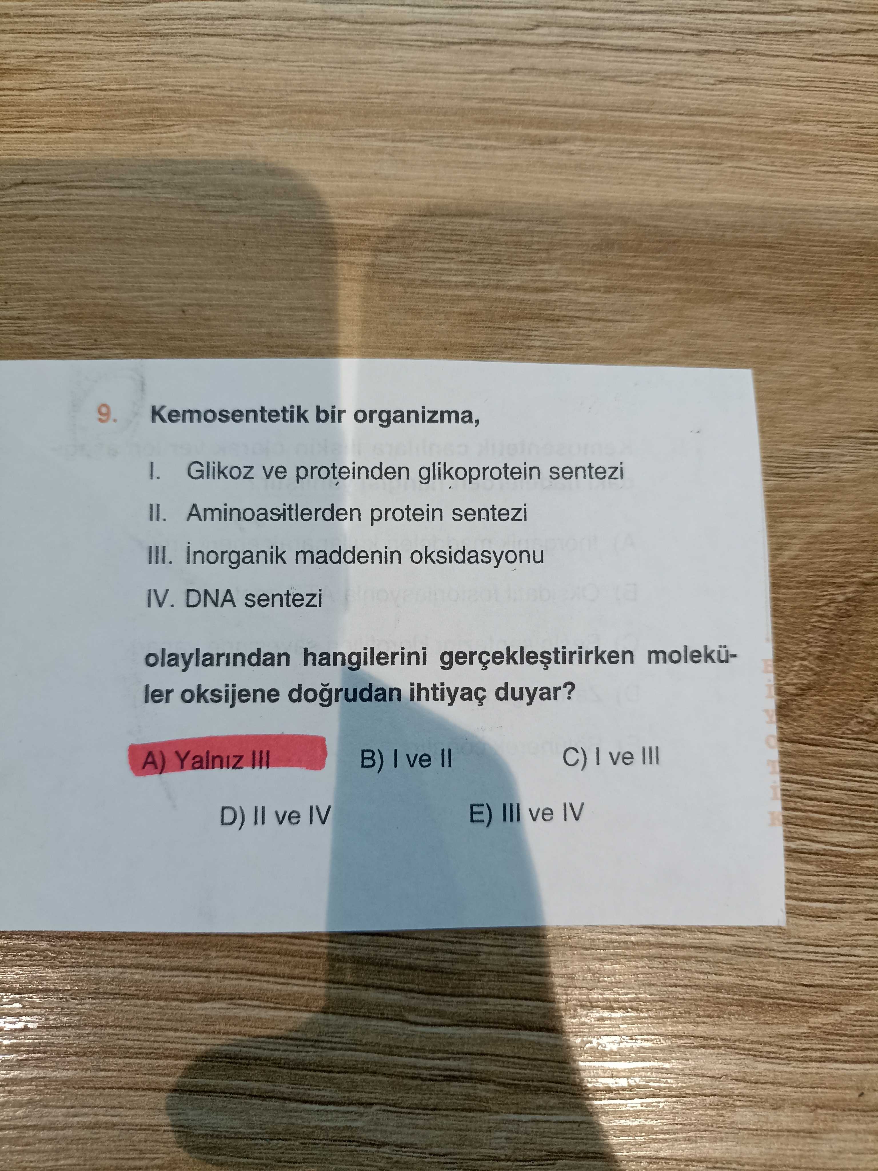 Kemosentetik bir organizma, I. Glikoz ve proteinden glikoprotein sentezi II. Aminoasitlerden protein