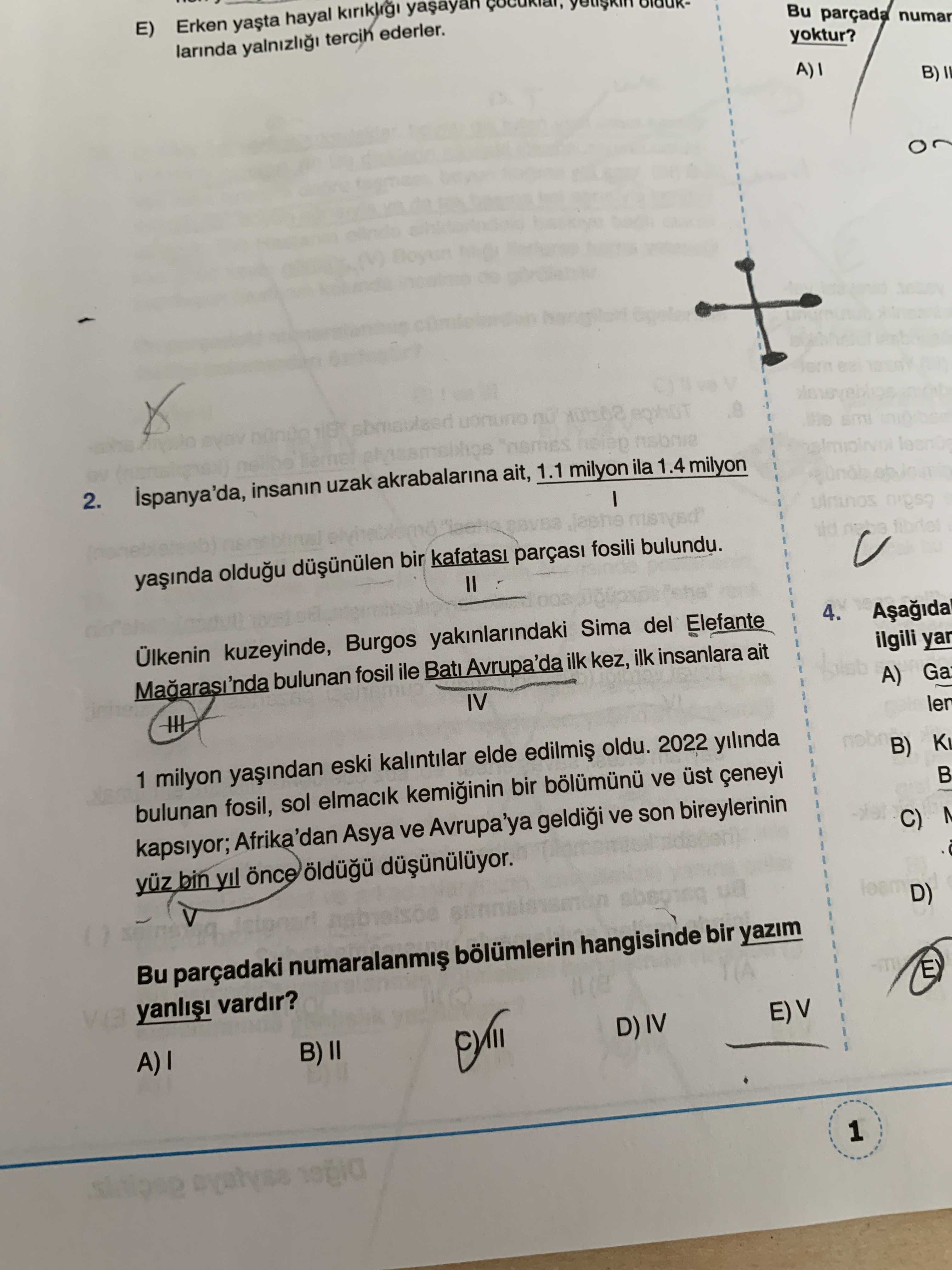 İspanya'da, insanın uzak akrabalarına ait, 1.1 milyon ila 1.4 milyon I yaşında olduğu düşünülen bir