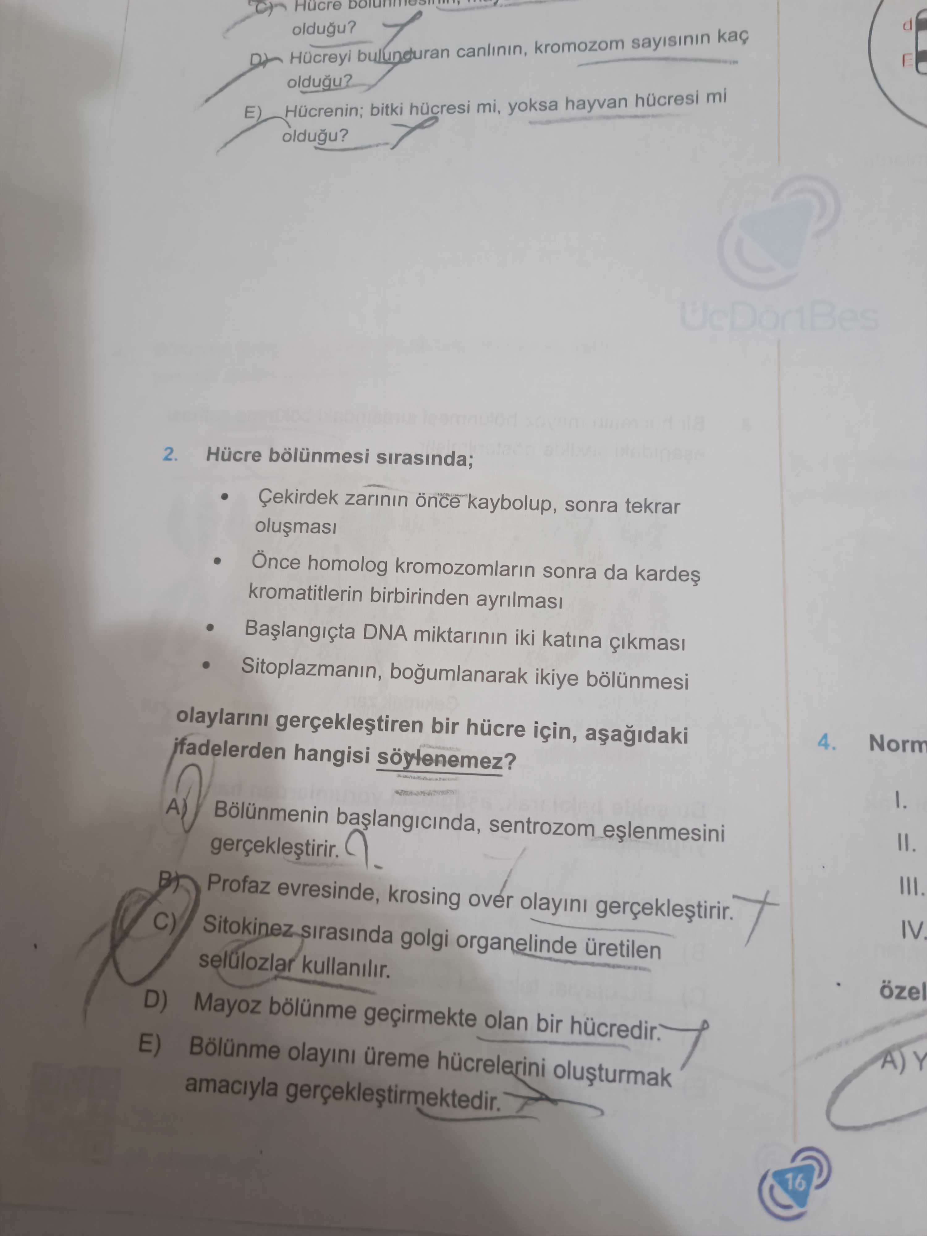 Hücre bölünmesi sırasında; • Çekirdek zarının önce kaybolup, sonra tekrar oluşması • Önce homolog