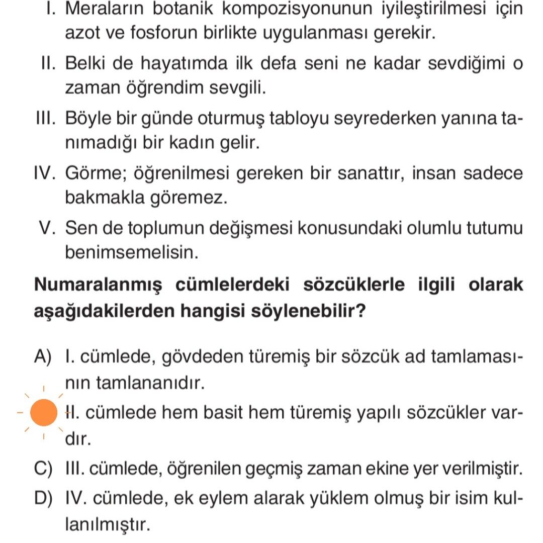 Türkçe (Mezun)