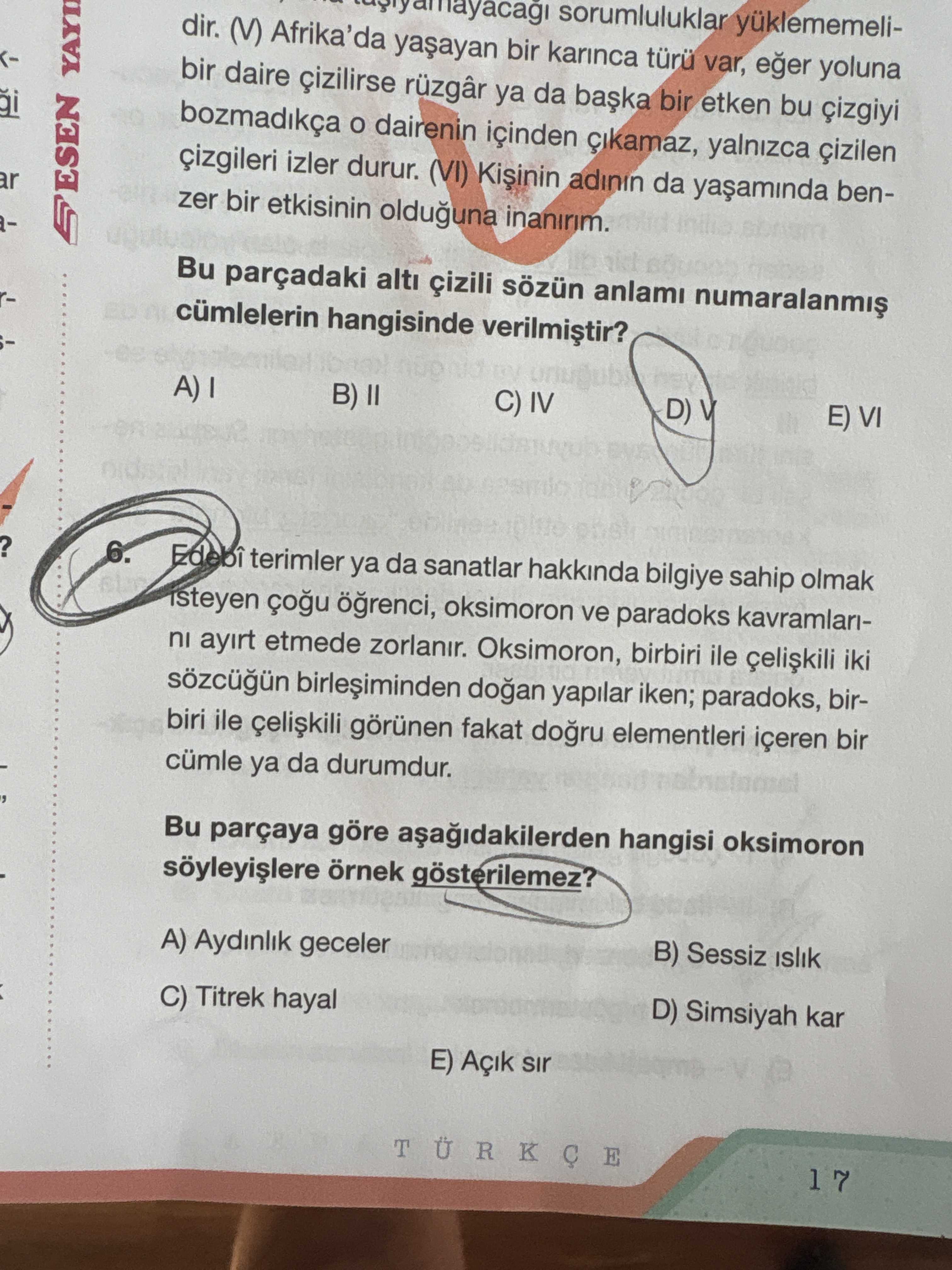 Türkçe (Mezun)