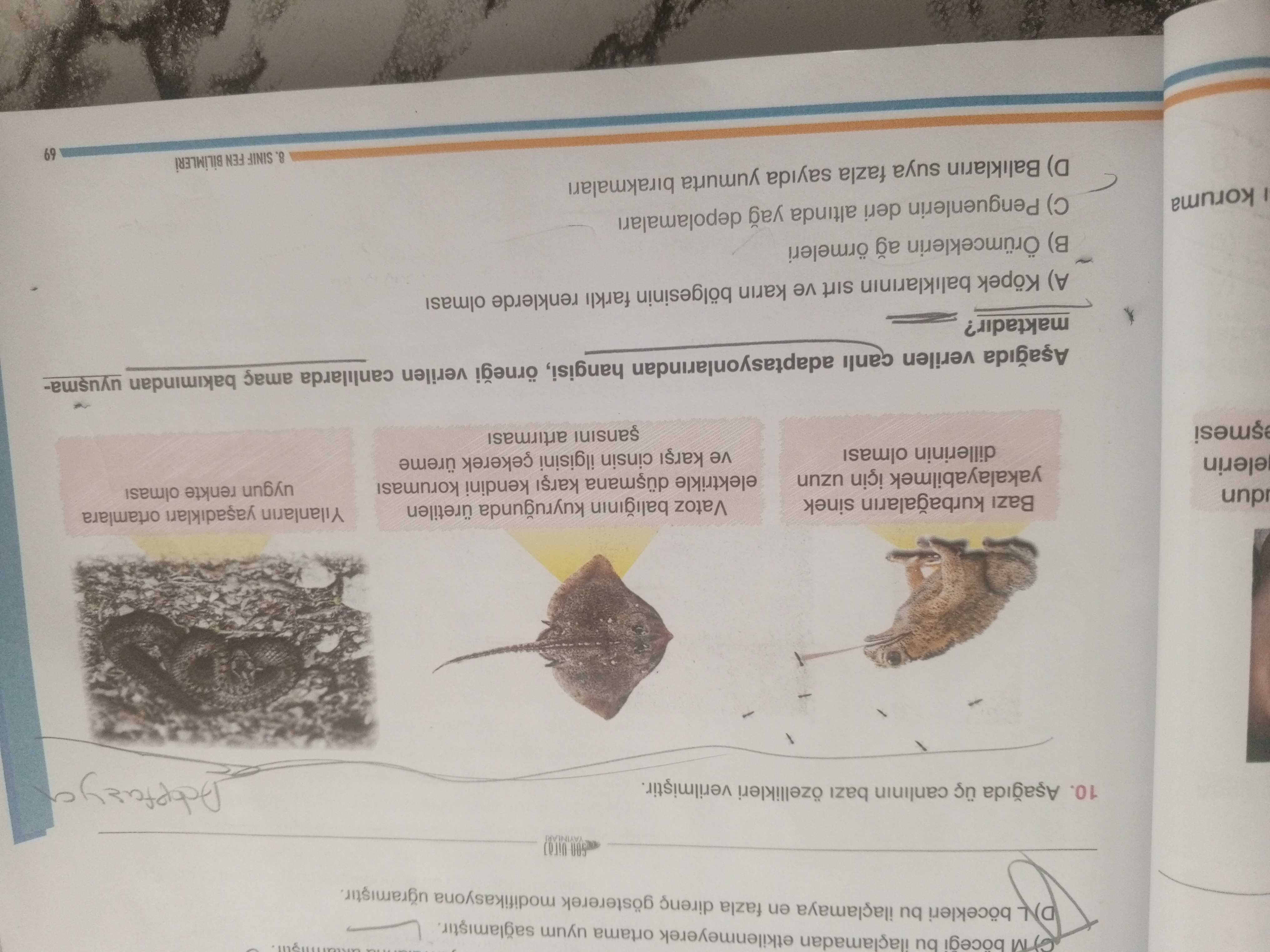 Aşağıda verilen canlı adaptasyonlarından hangisi, örneği verilen canlılarda amaç bakımından