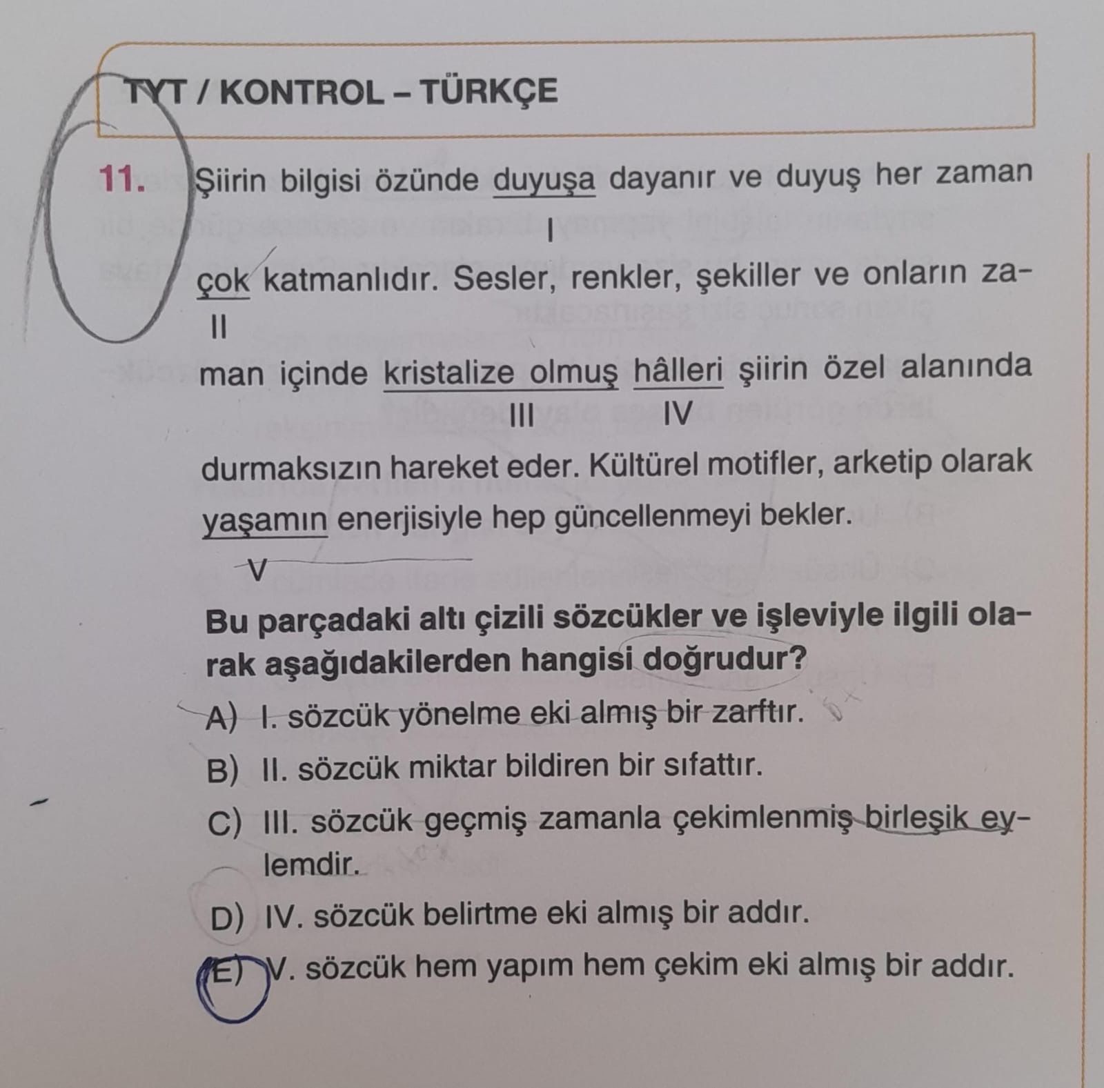 Türkçe (12. Sınıf)