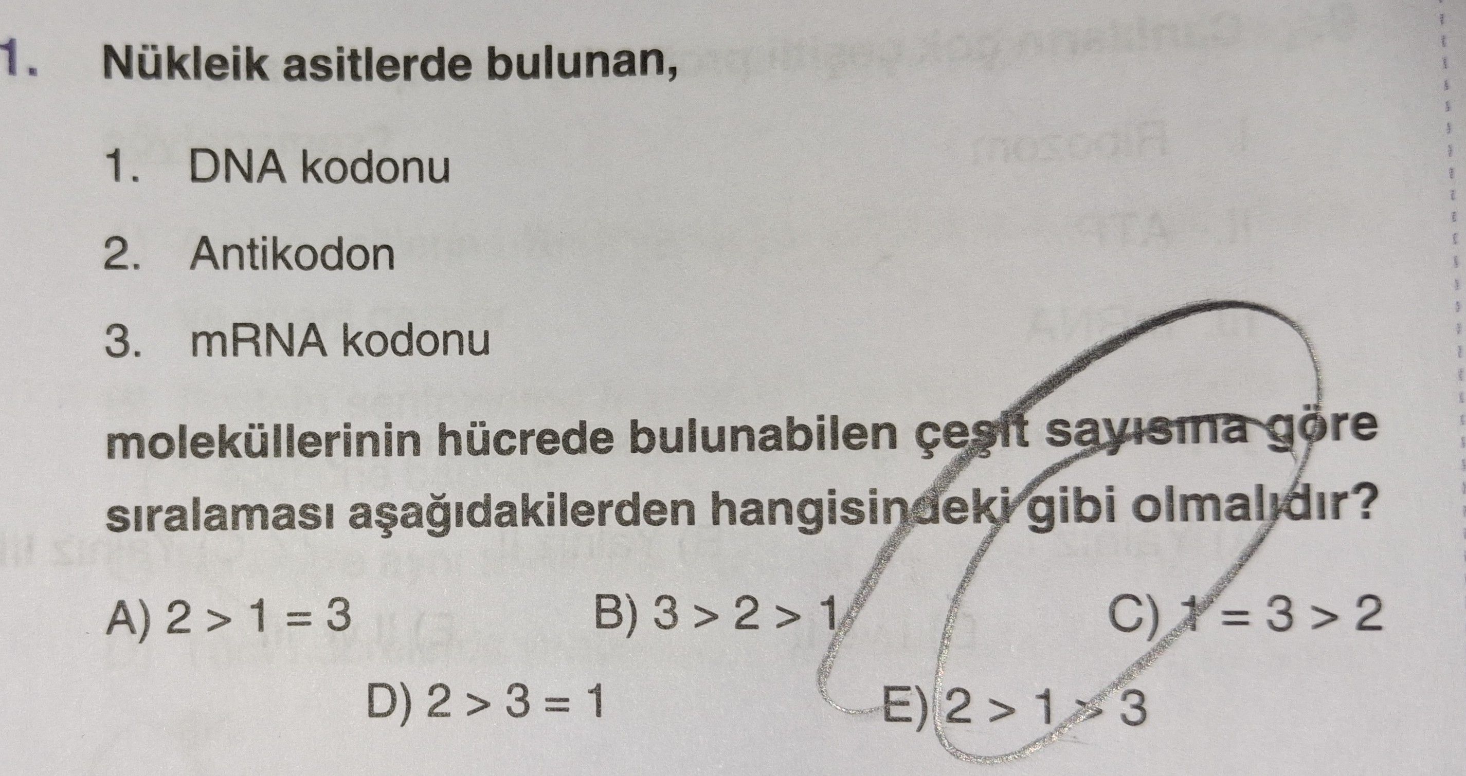Nükleik asitlerde bulunan, 1. DNA kodonu 2. Antikodon 3. mRNA kodonu moleküllerinin hücrede