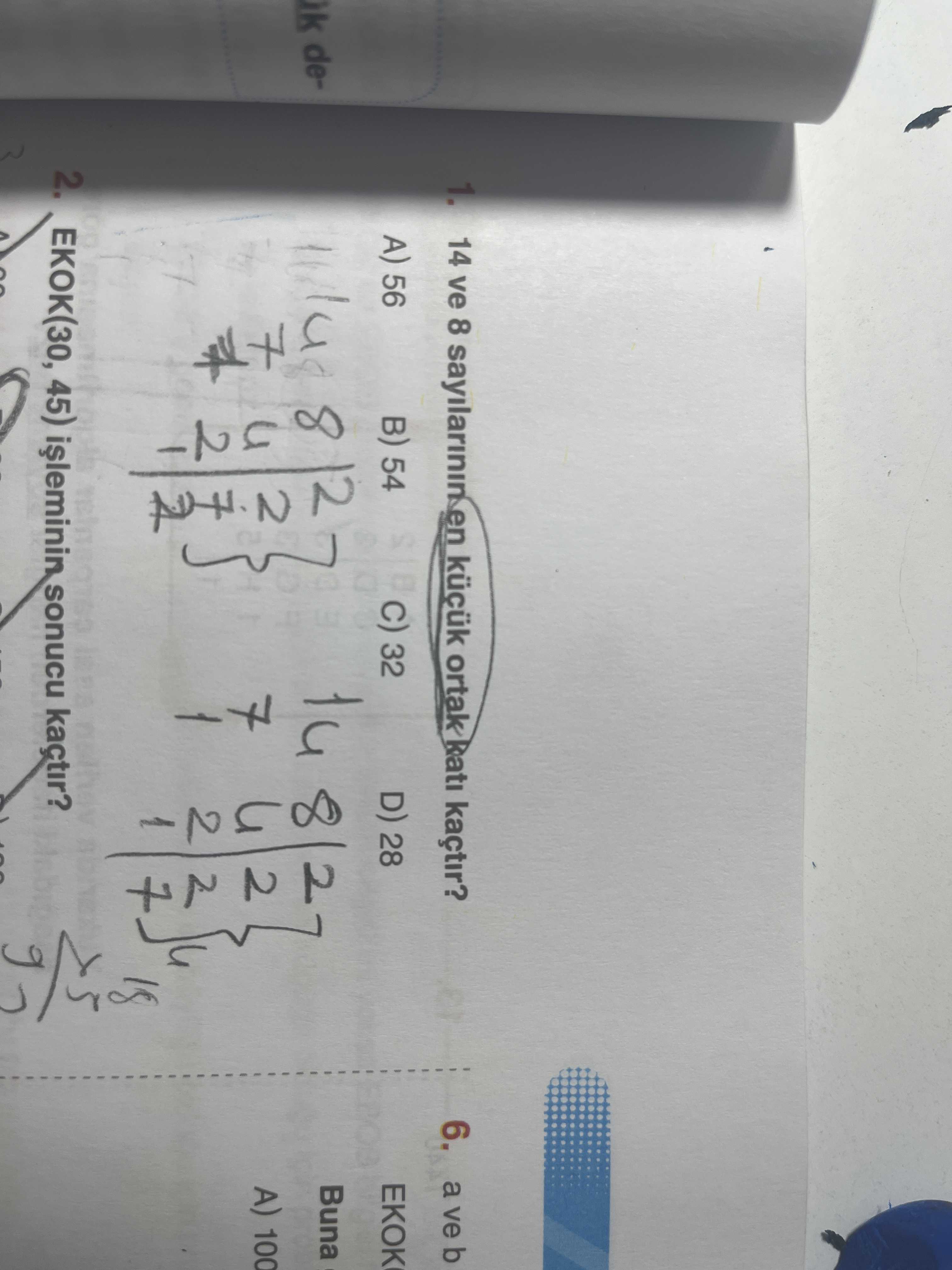 Matematik (8. Sınıf)