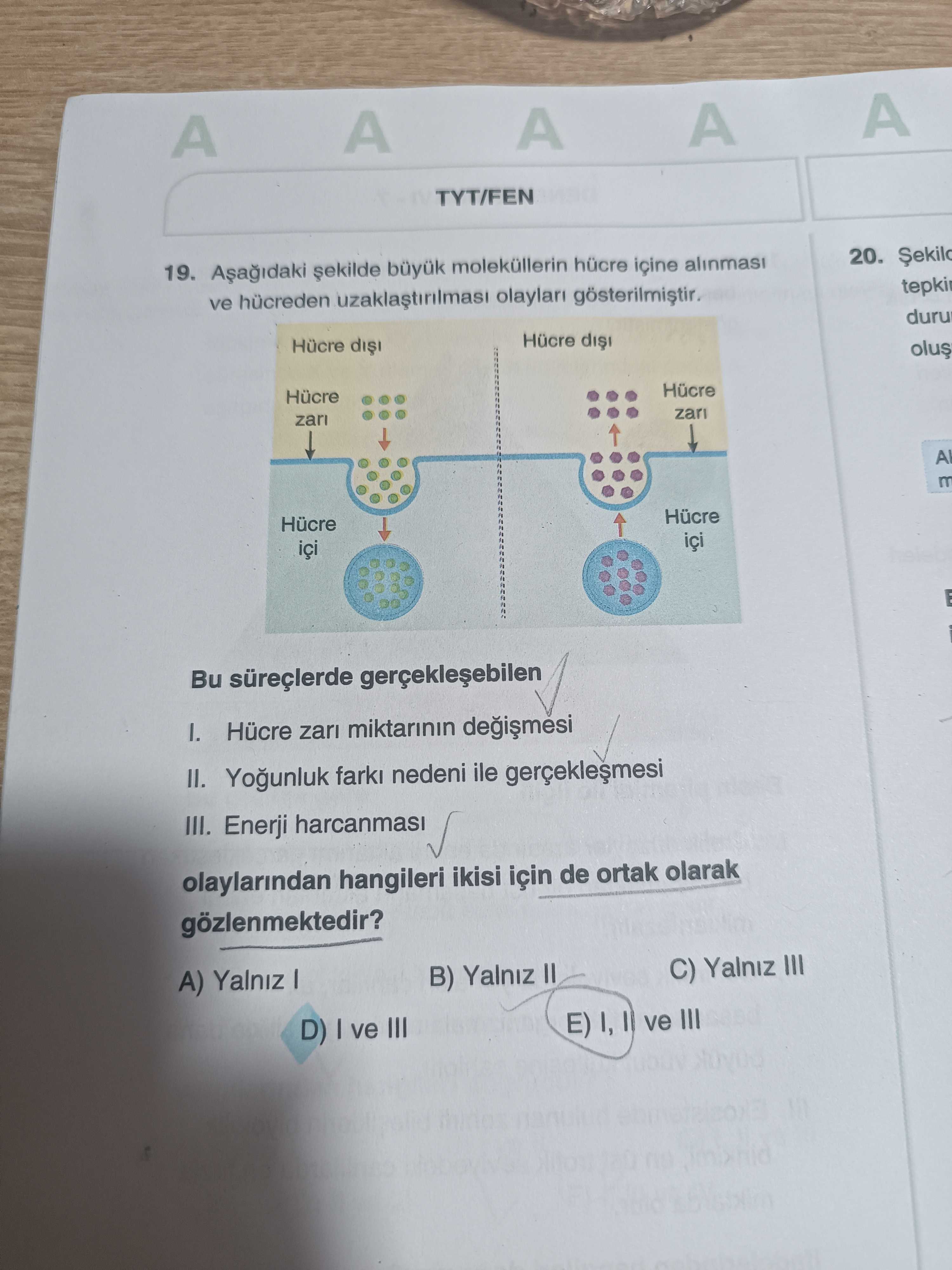 Aşağıdaki şekilde büyük moleküllerin hücre içine alınması ve hücreden uzaklaştırılması olayları