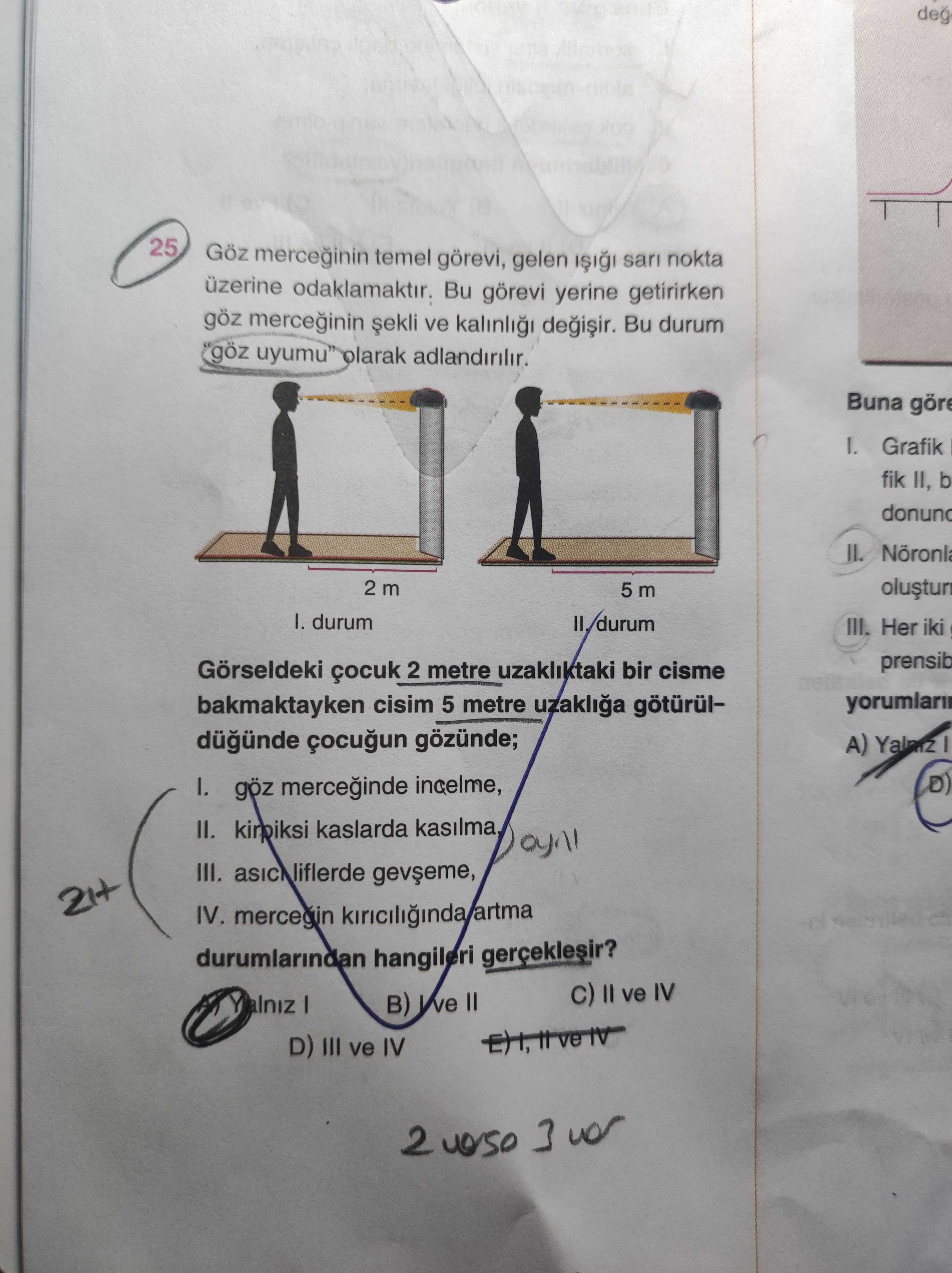 Göz merceğinin temel görevi, gelen ışığı sarı nokta üzerine odaklamaktır. Bu görevi yerine