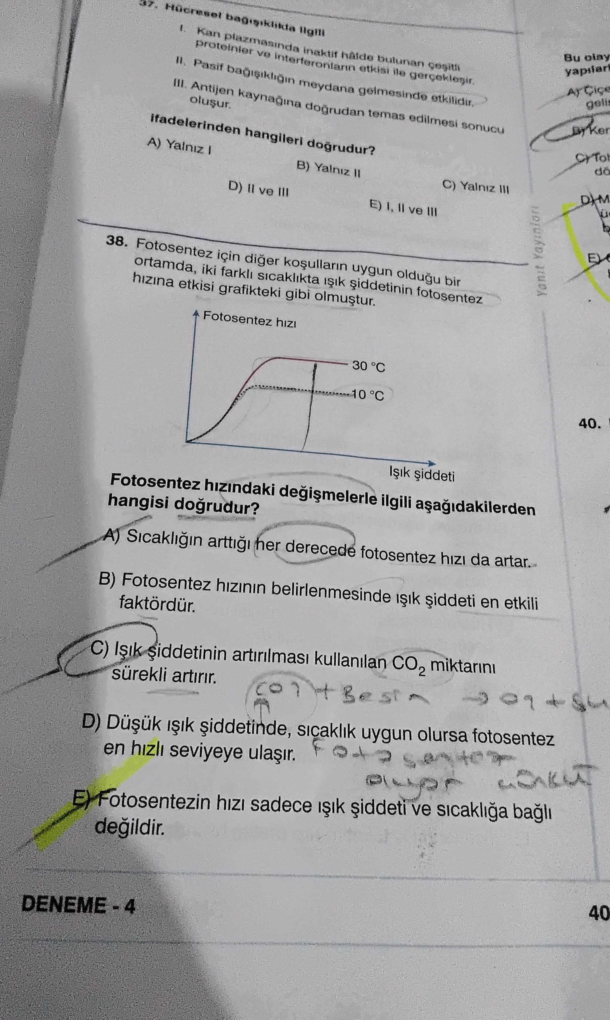 Fotosentez için diğer koşulların uygun olduğu bir ortamda, iki farklı sıcaklıkta ışık şiddetinin