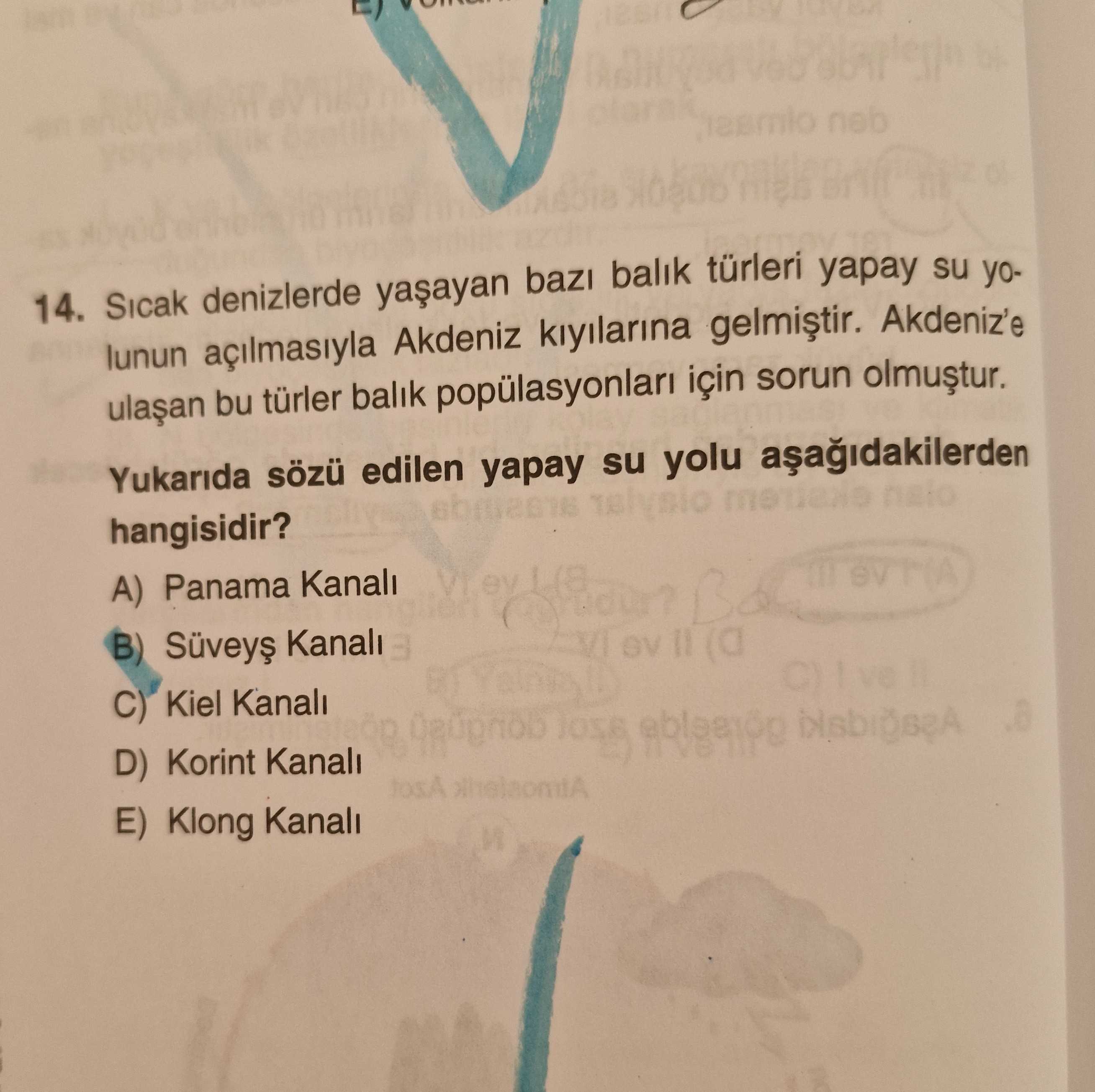 Sıcak denizlerde yaşayan bazı balık türleri yapay su yolunun açılmasıyla Akdeniz kıyılarına