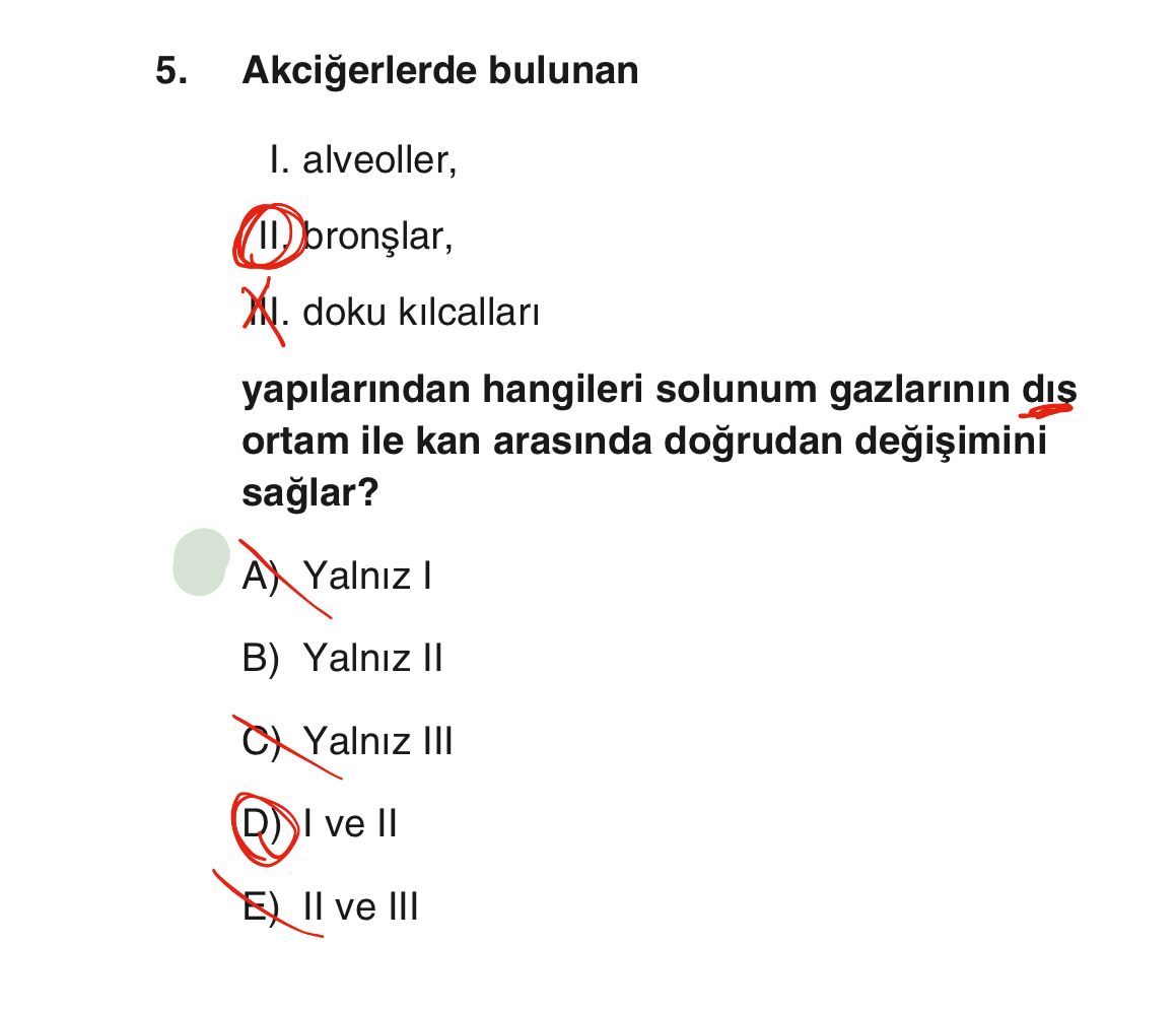 Akciğerlerde bulunan I. alveoller, II. bronşlar, III. doku kılcalları yapılarından hangileri solunum