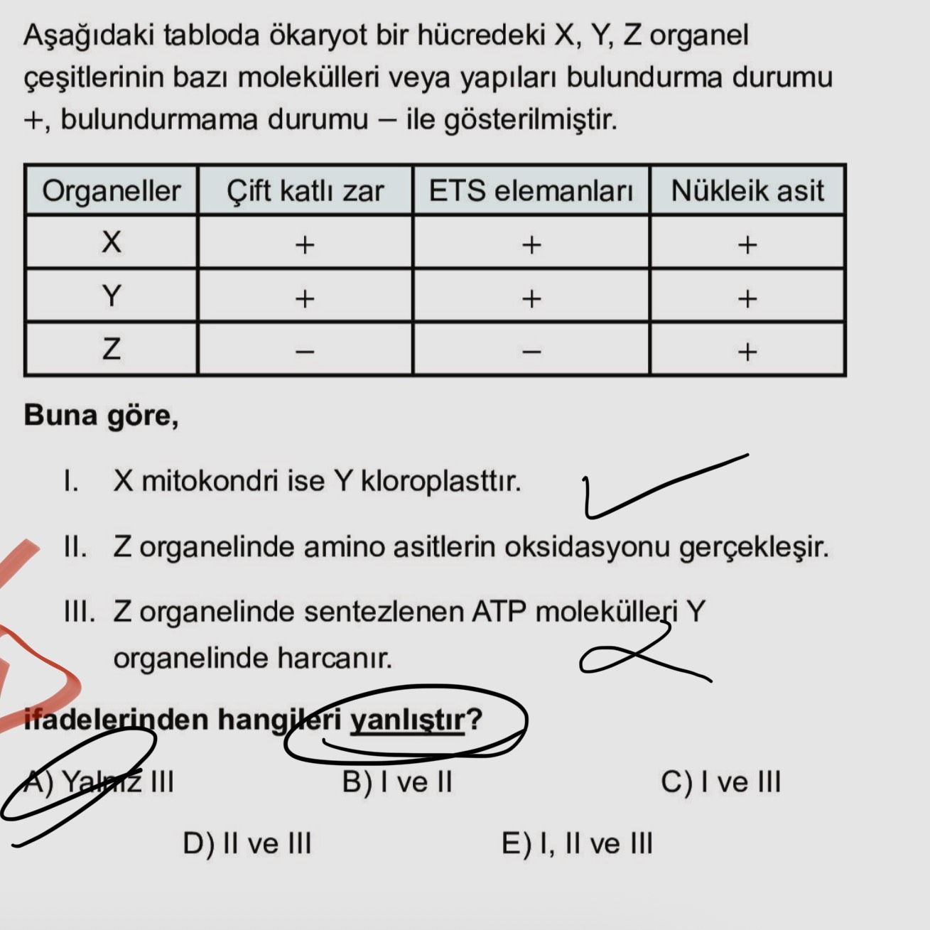 Aşağıdaki tabloda ökaryot bir hücredeki X, Y, Z organel çeşitlerinin bazı molekülleri veya yapıları