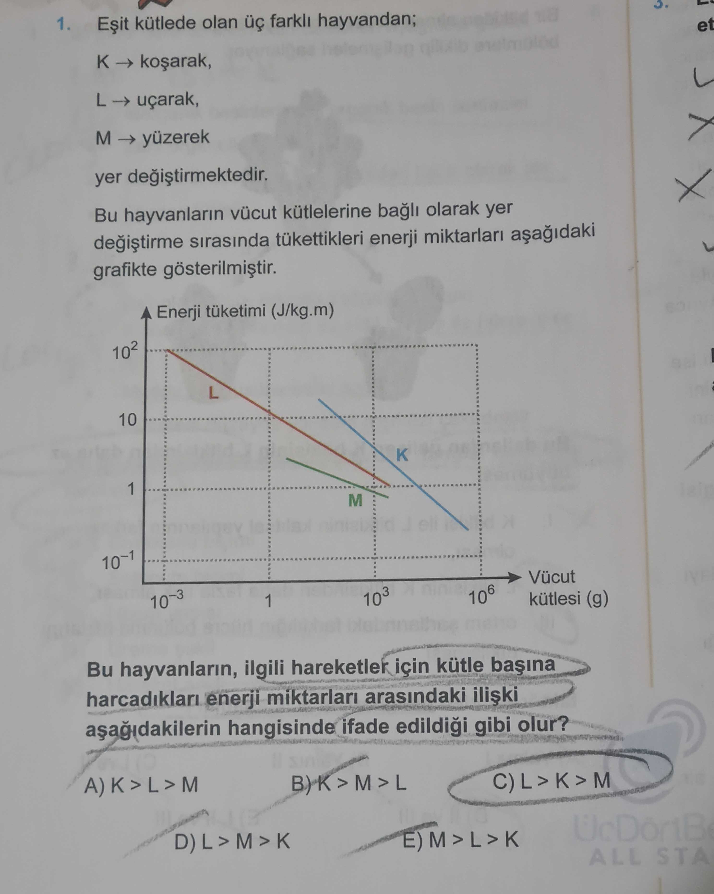 Eşit kütlede olan üç farklı hayvandan; K → koşarak, L → uçarak, M → yüzerek yer değiştirmektedir. Bu
