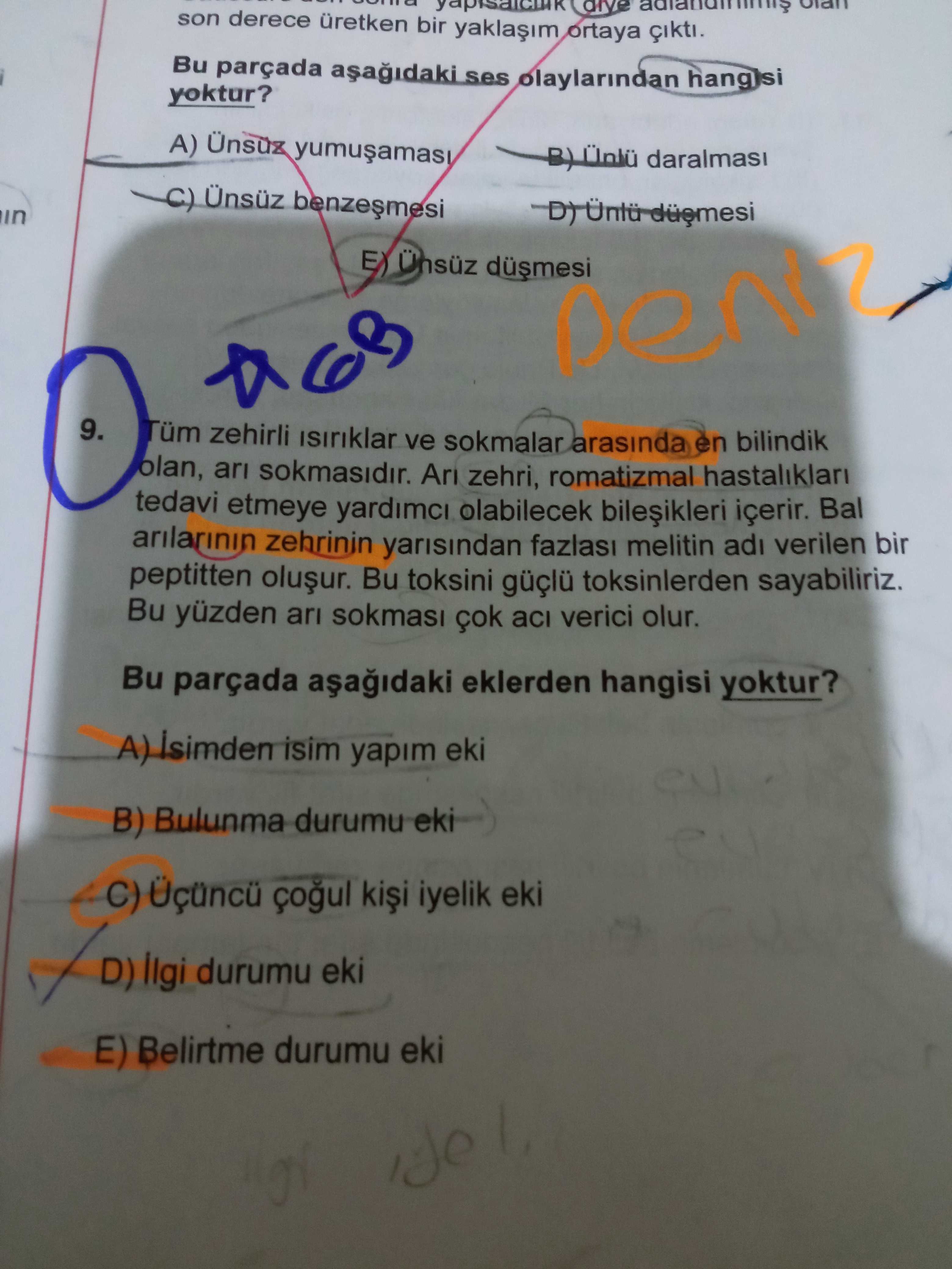 Türkçe (Mezun)