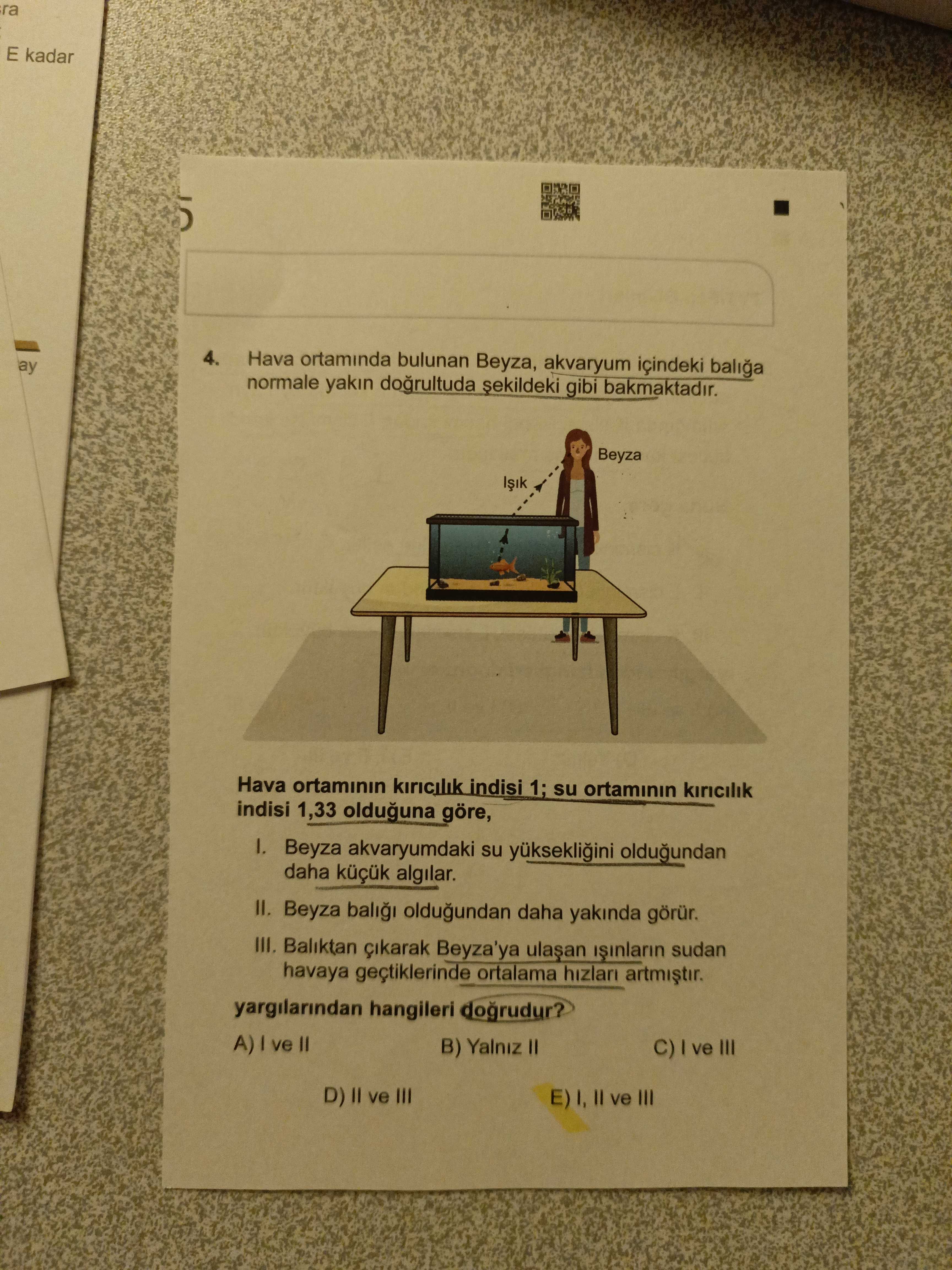 Hava ortamında bulunan Beyza, akvaryum içindeki balığa normale yakın doğrultuda şekildeki gibi