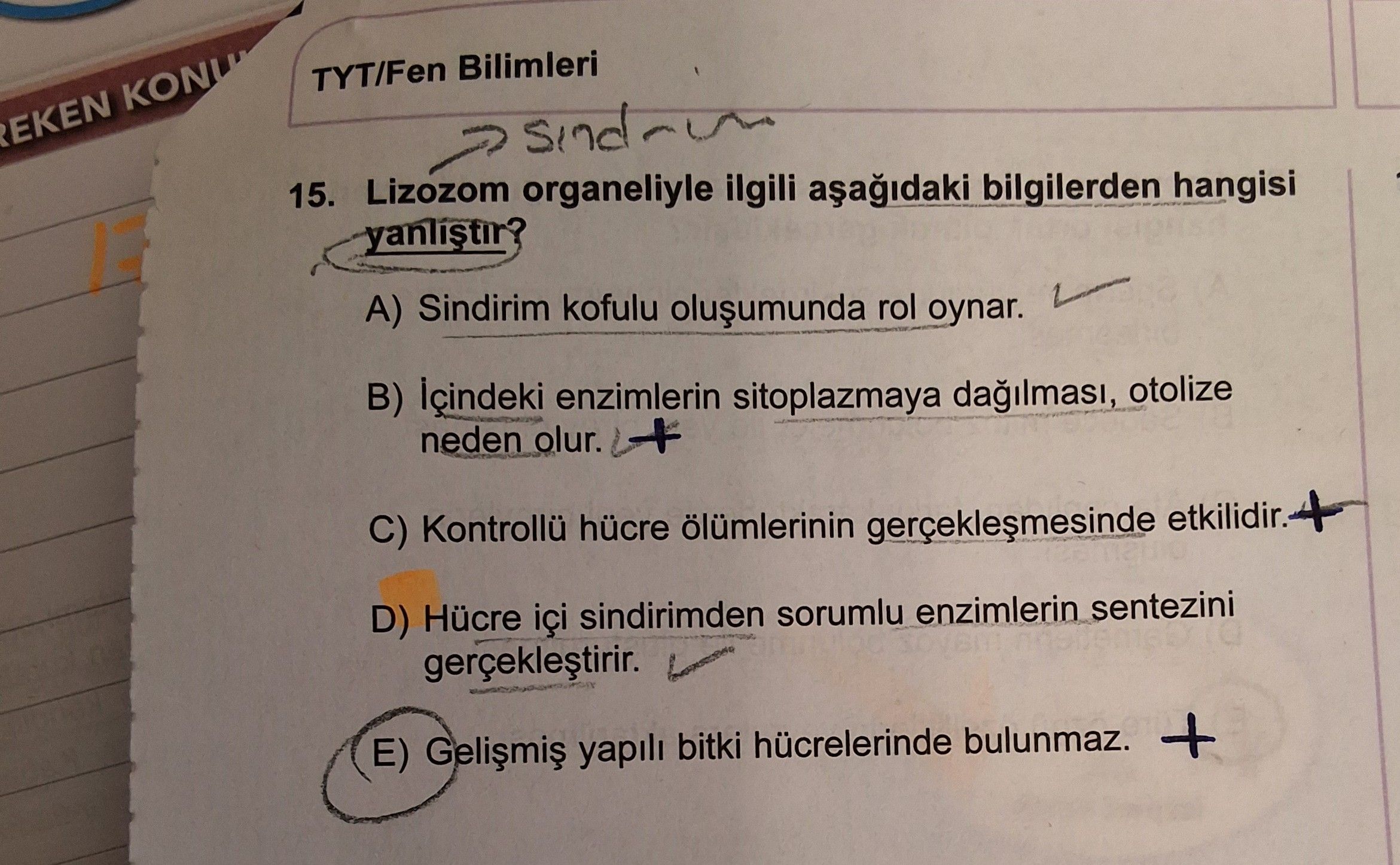 Lizozom organelıyle ilgili aşağıdaki bilgilerden hangisi yanlıştır?