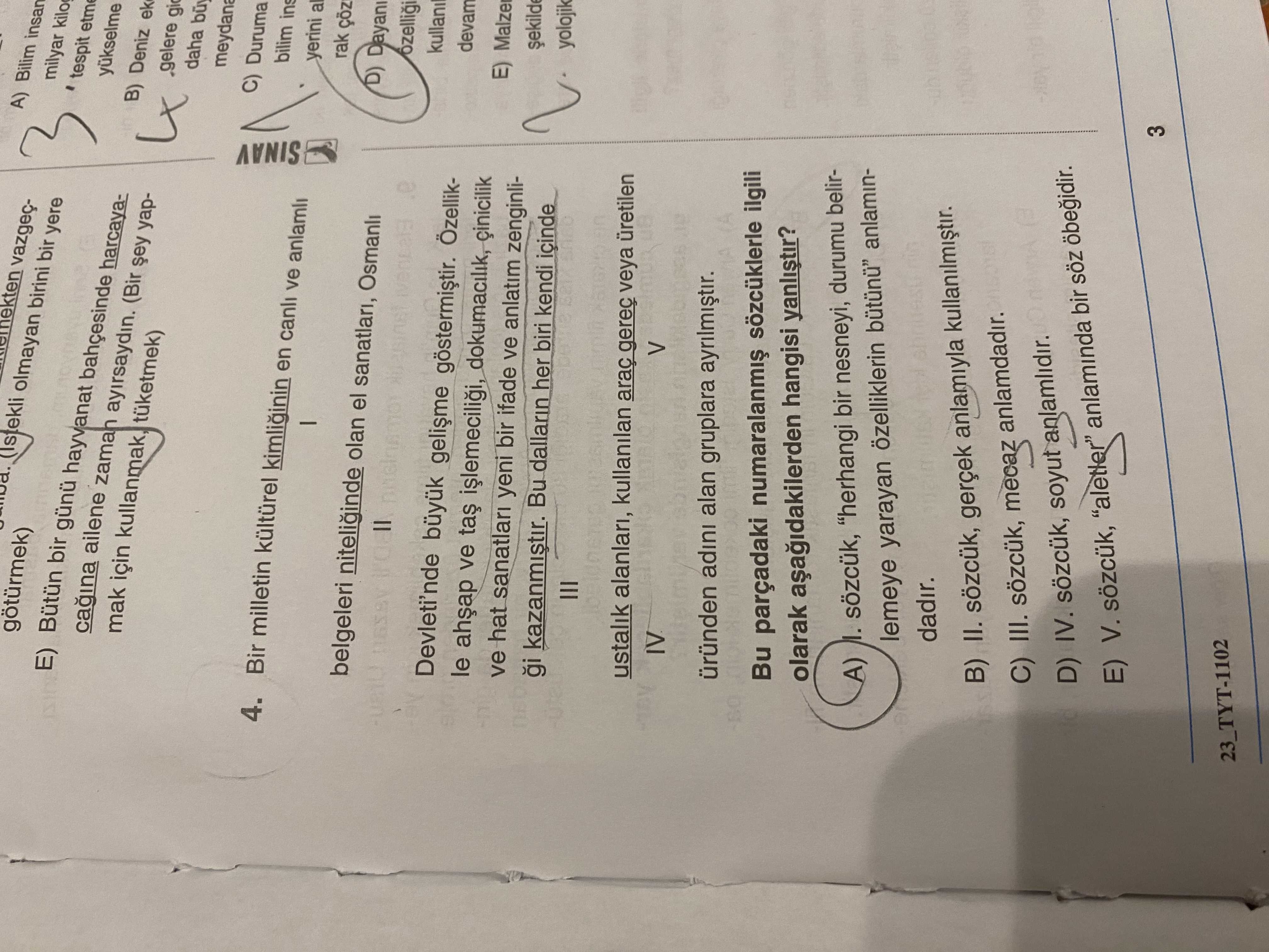 Türk Dili ve Edebiyatı  (10. Sınıf)