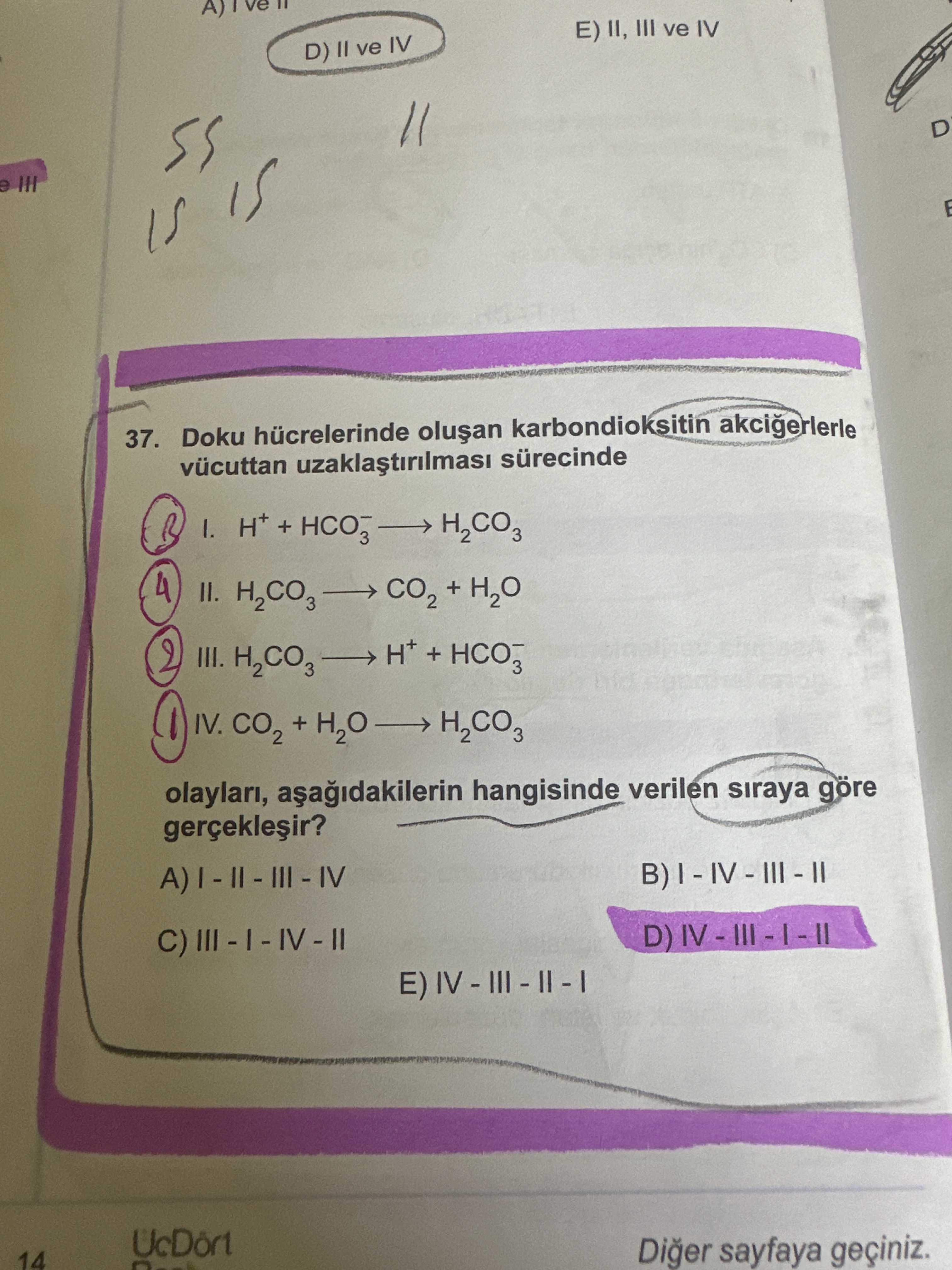 Doku hücrelerinde oluşan karbondioksitin akciğerlerle vücuttan uzaklaştırılması sürecinde I. H⁺ +