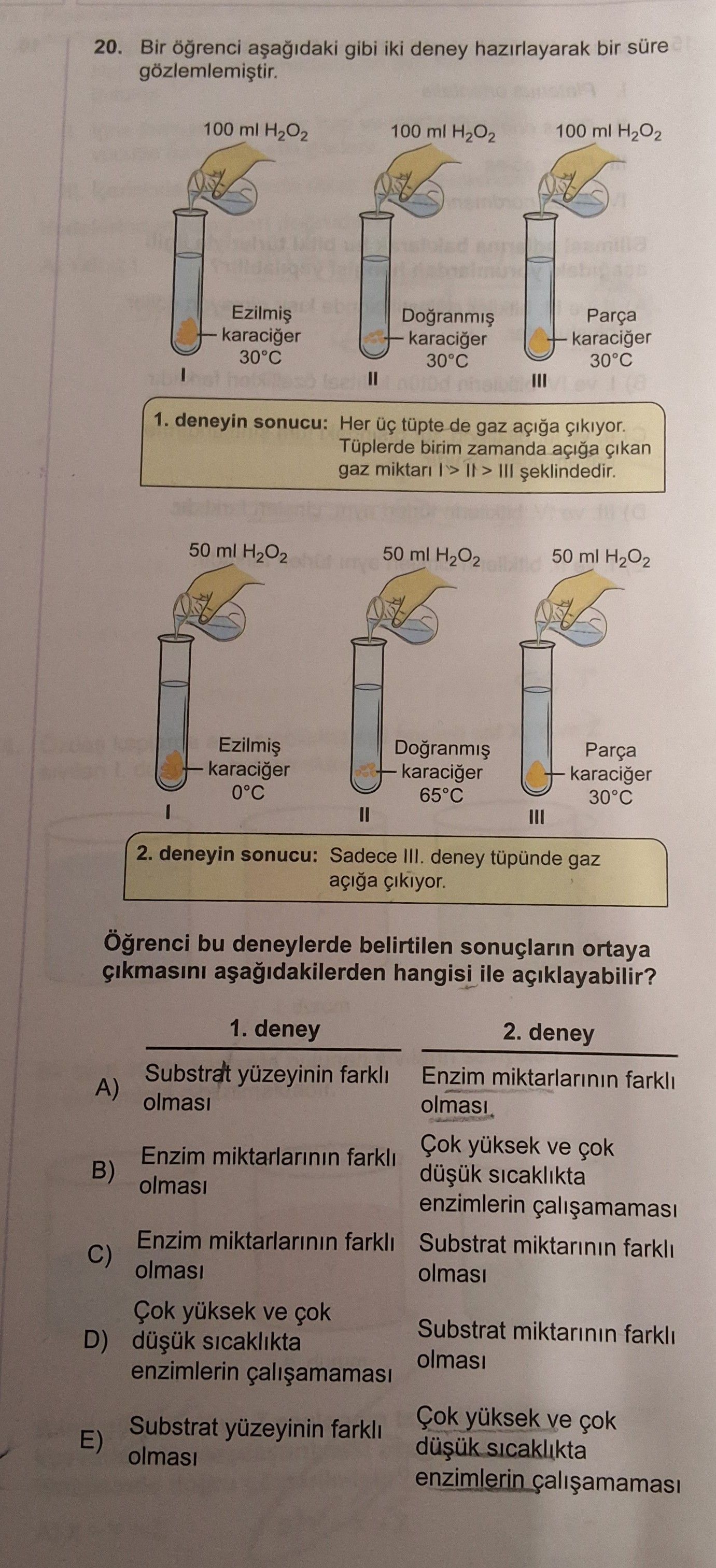 Bir öğrenci aşağıdaki gibi iki deney hazırlayarak bir süre gözlemlemiştir. 100 ml H₂O₂ 100 ml H₂O₂