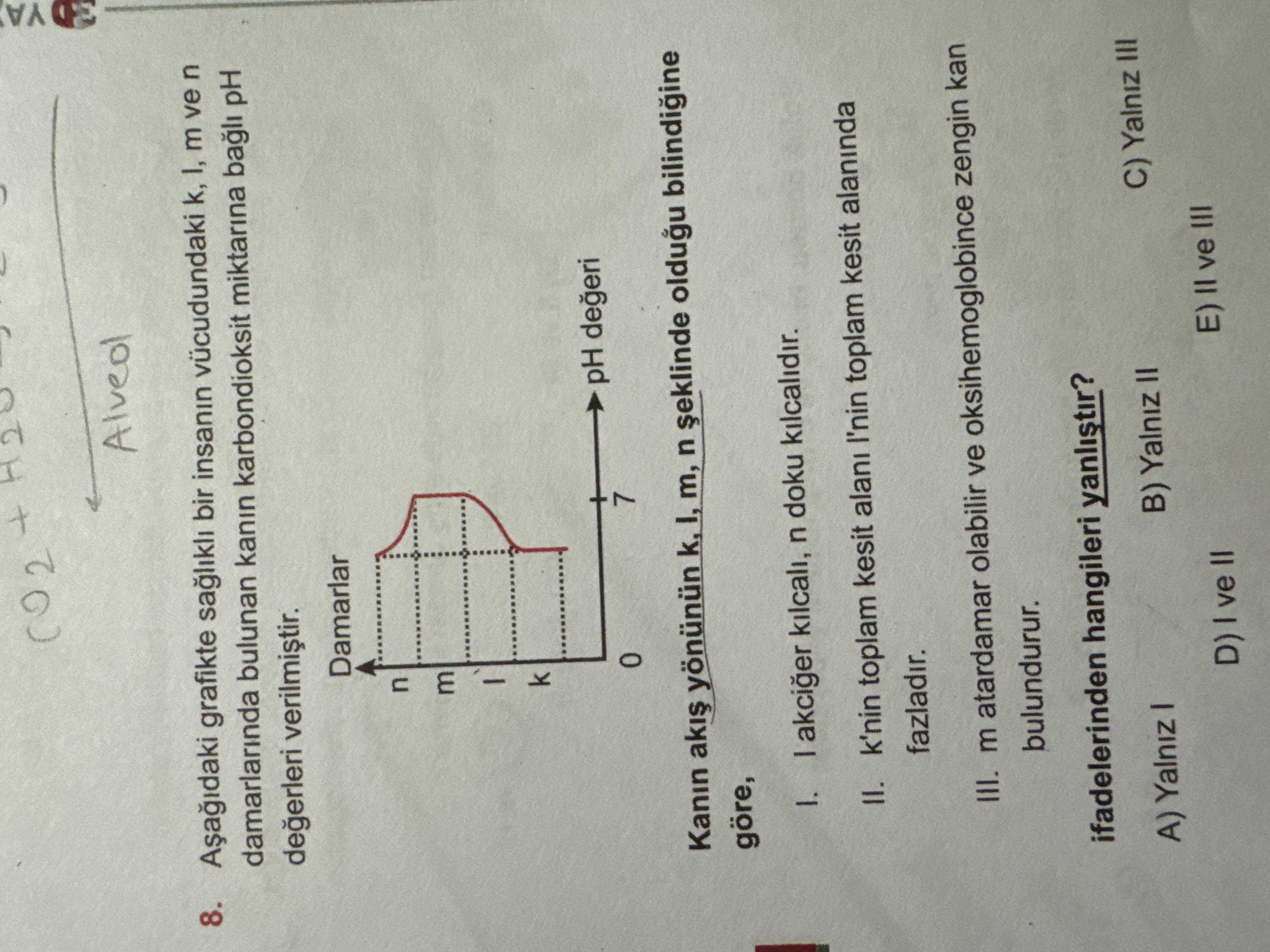 Aşağıdaki grafikte sağlıklı bir insanın vücudundaki k, l, m ve n damarlarında bulunan kanın