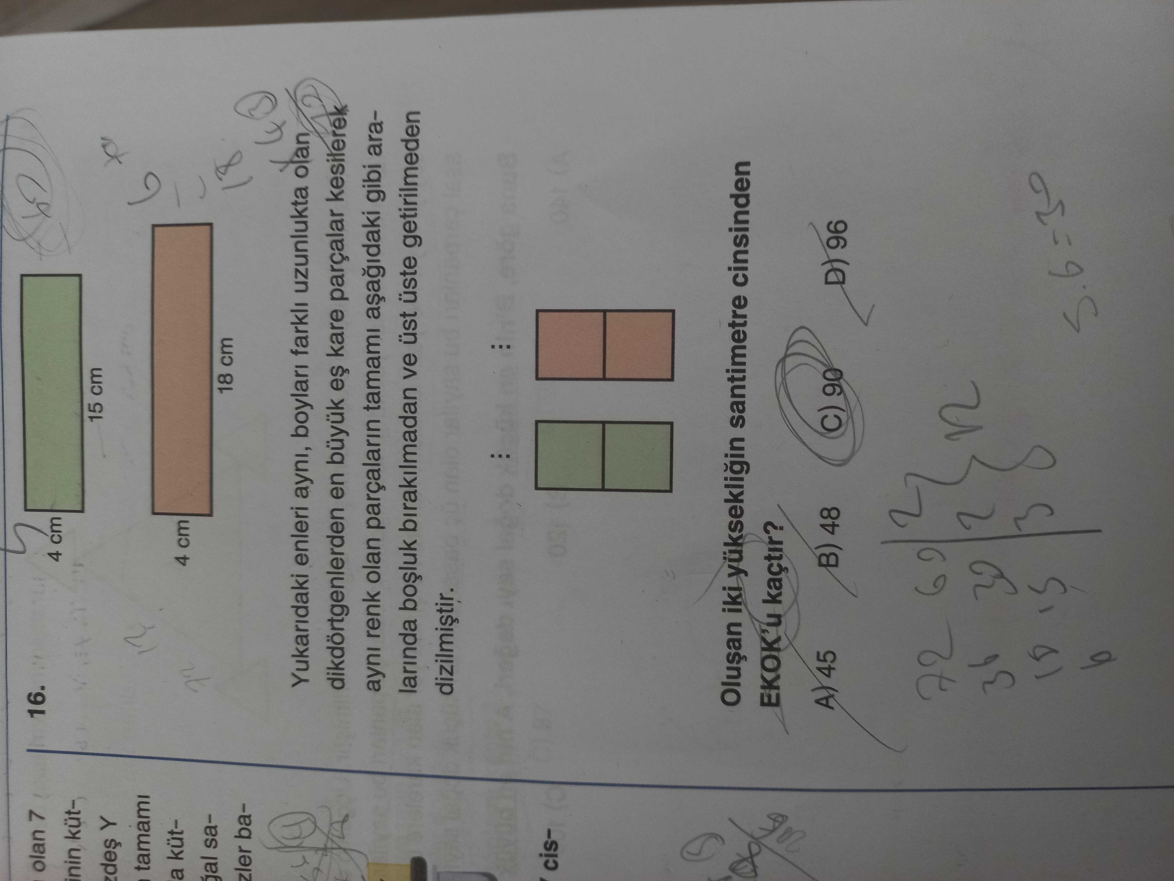 Matematik (8. Sınıf)