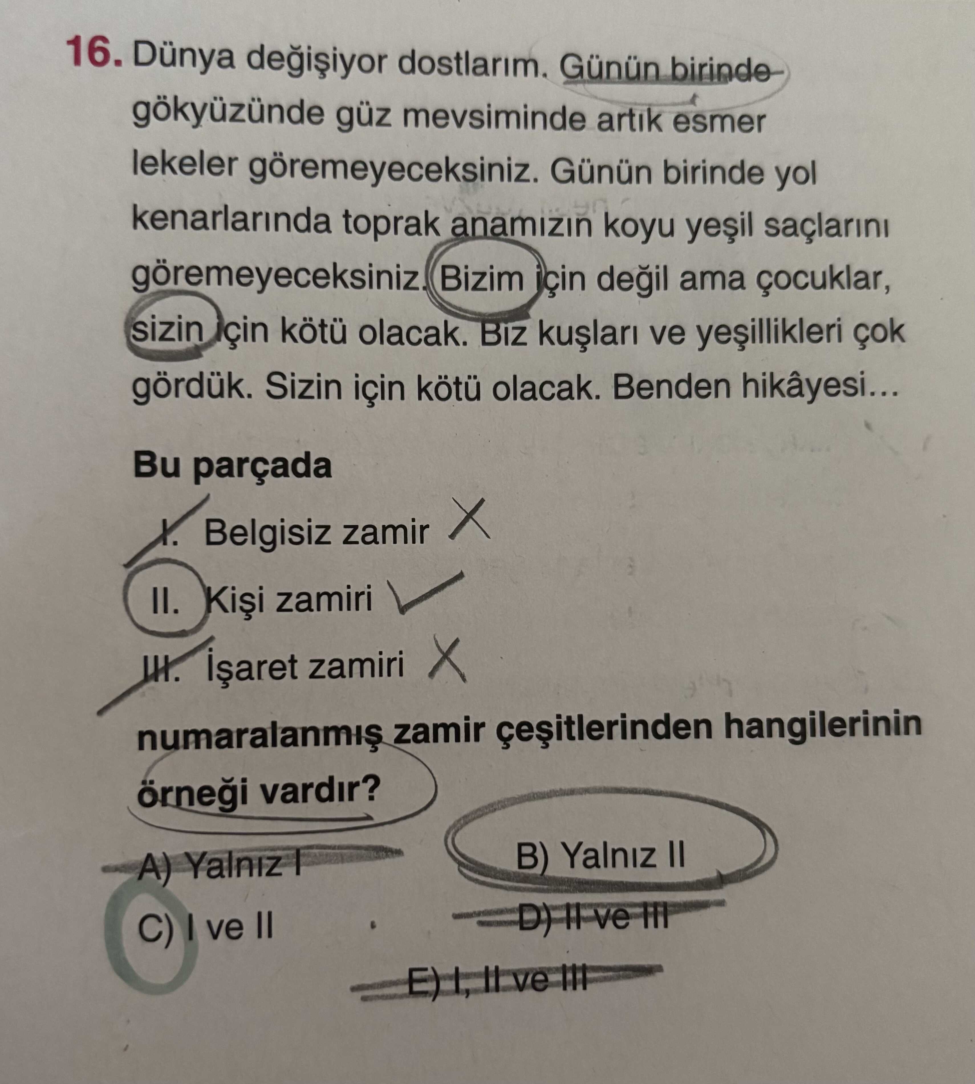 16. Dünya değişiyor dostlarım. Günün birinde gökyüzünde güz mevsiminde artık esmer lekeler