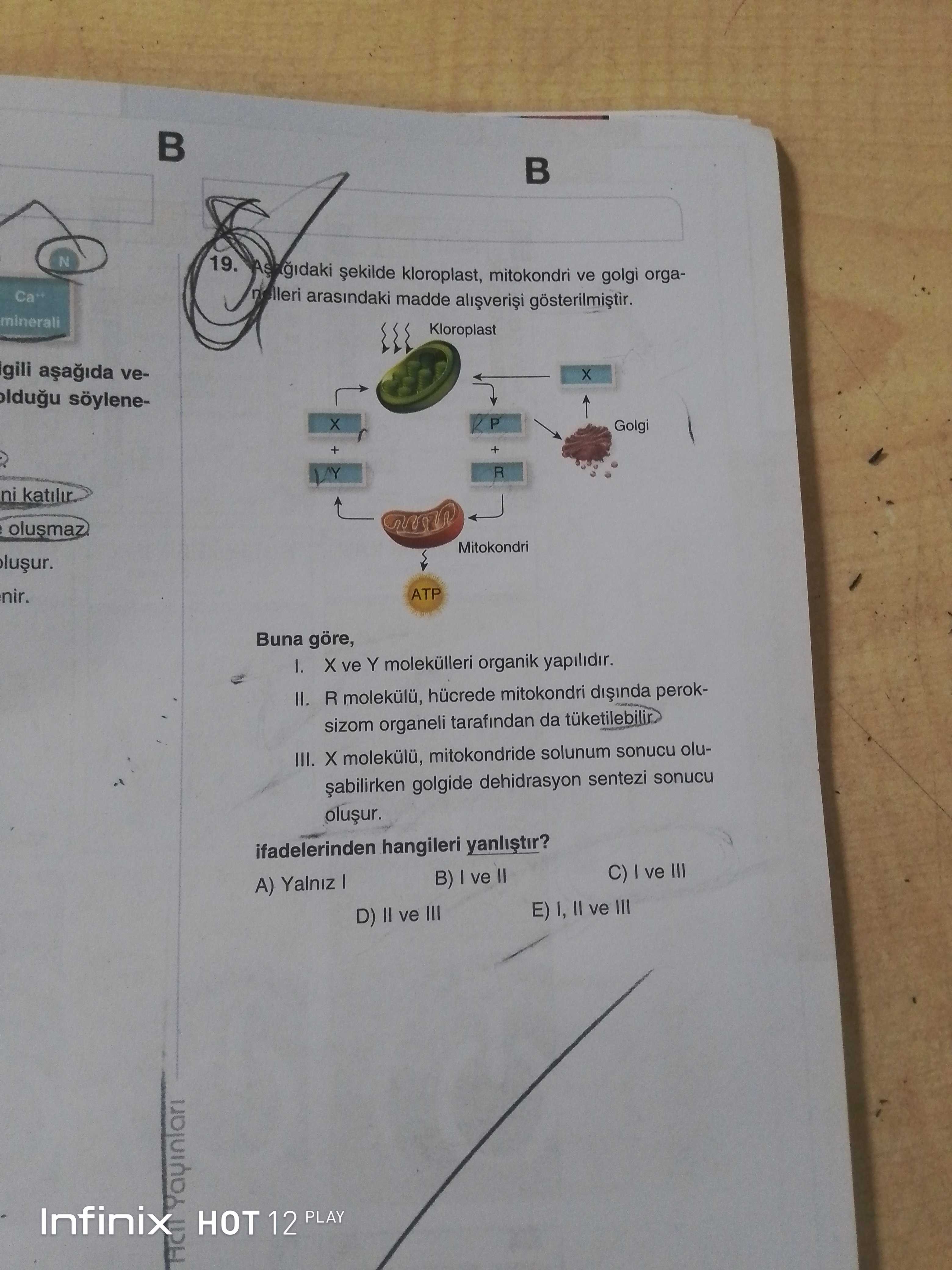 Aşağıdaki şekilde kloroplast, mitokondri ve golgi organelleri arasındaki madde alışverişi